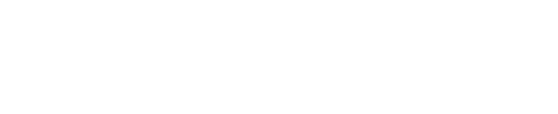 完璧な嘘