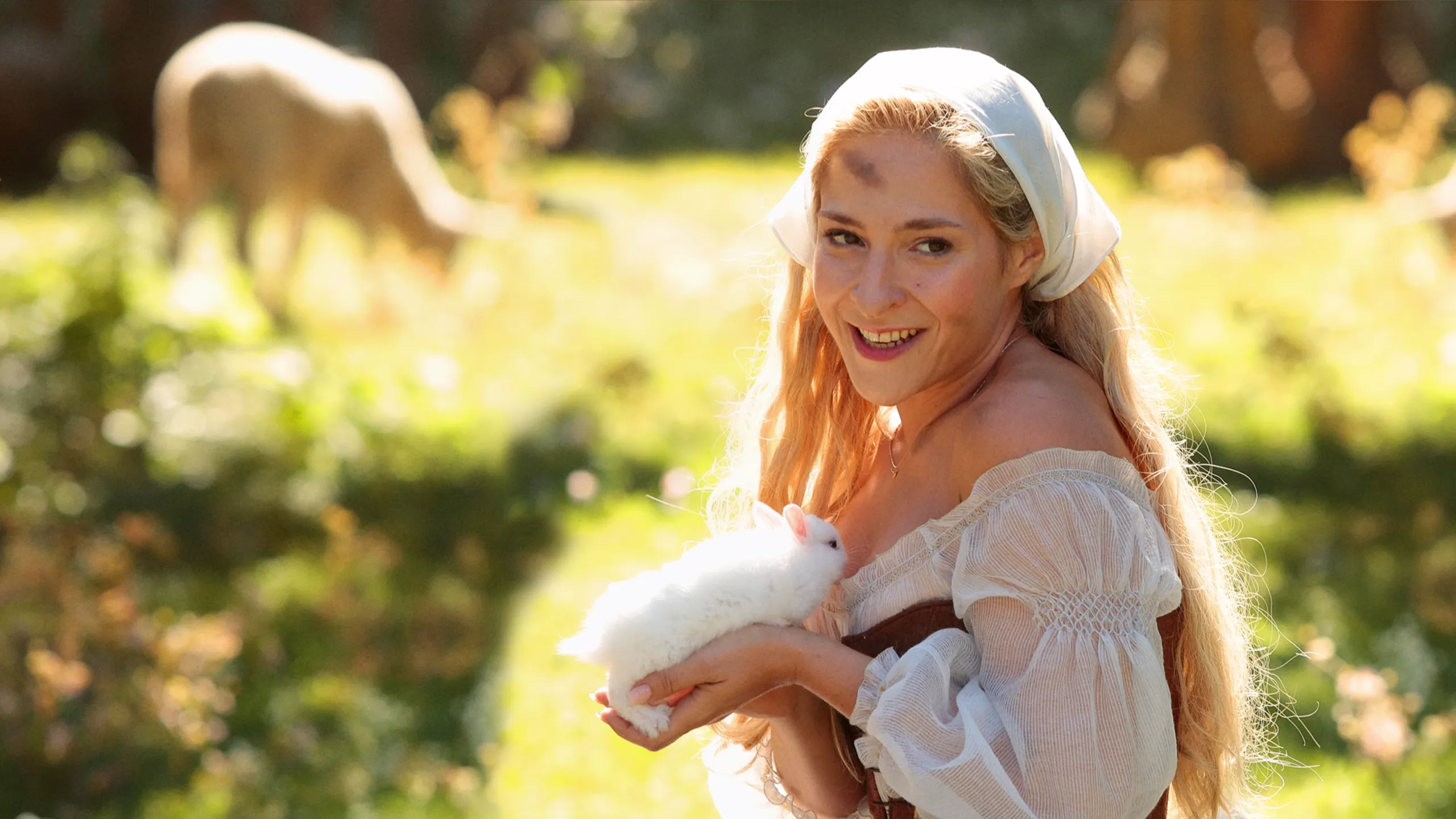 The New Adventures of Cinderella