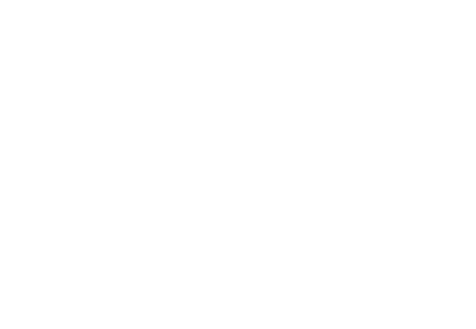 The Bridge