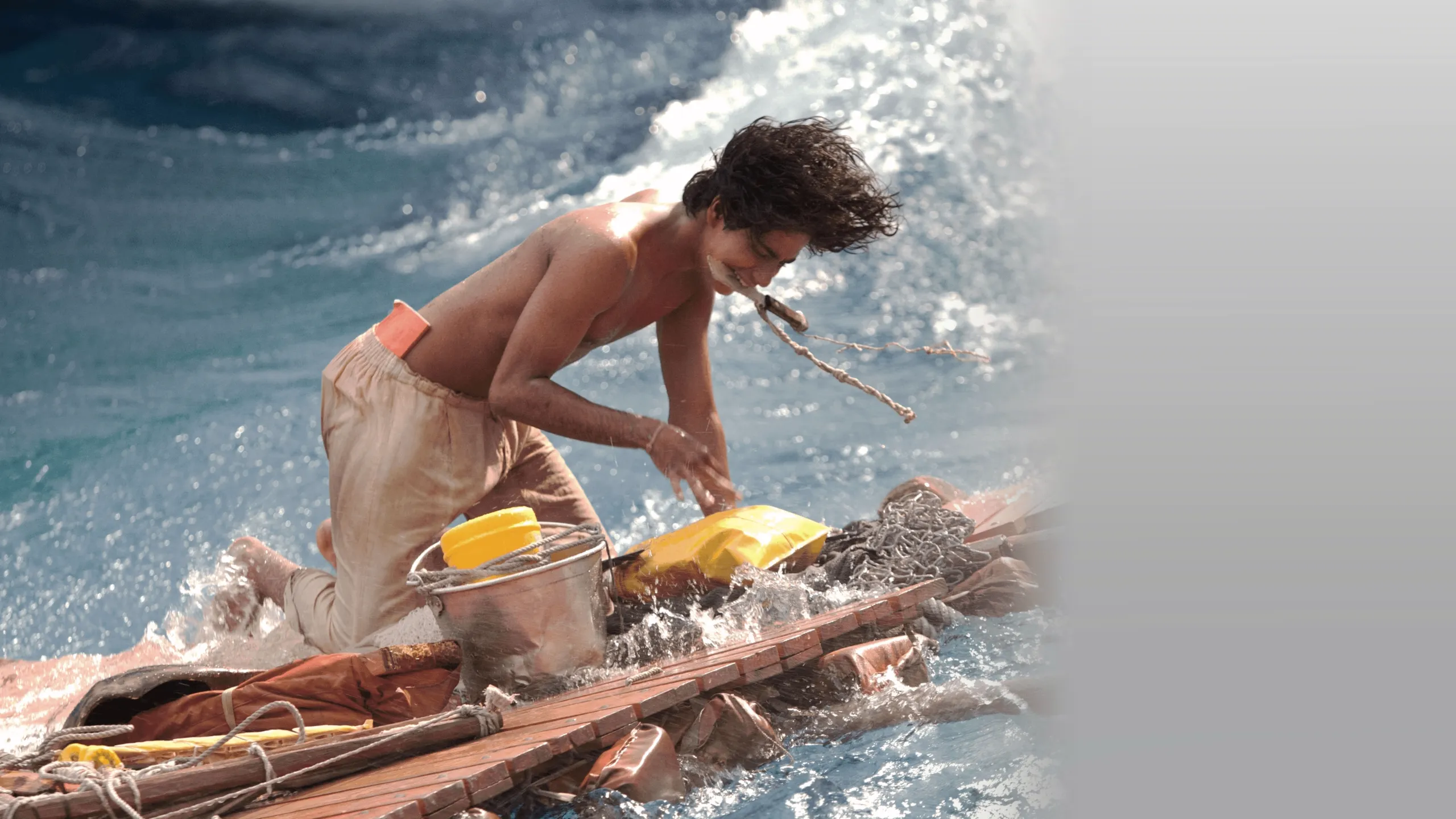 Life Of Pi