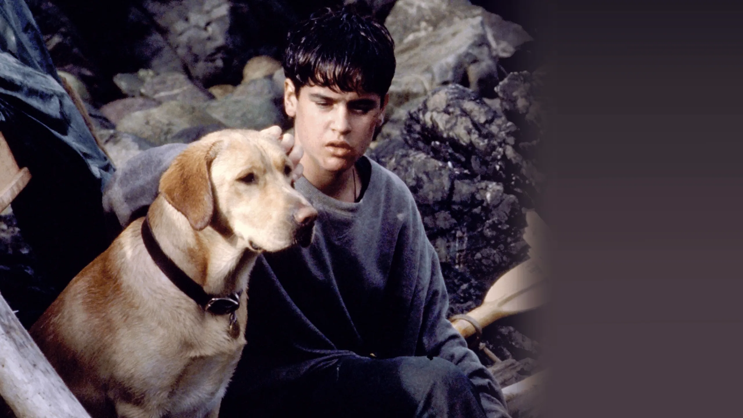 Far from Home: The Adventures of Yellow Dog