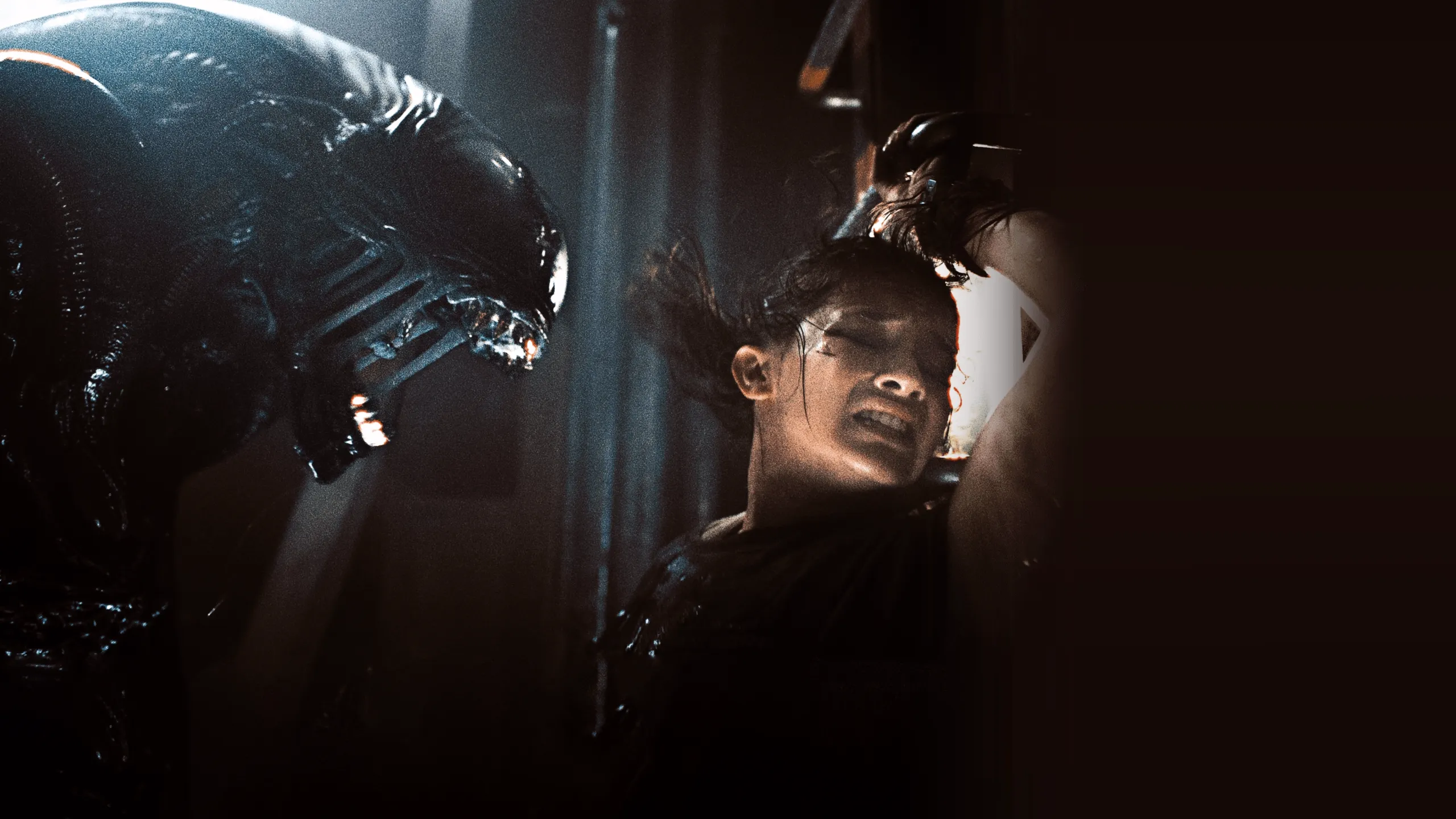 شاهد Alien: Romulus | ديزني+