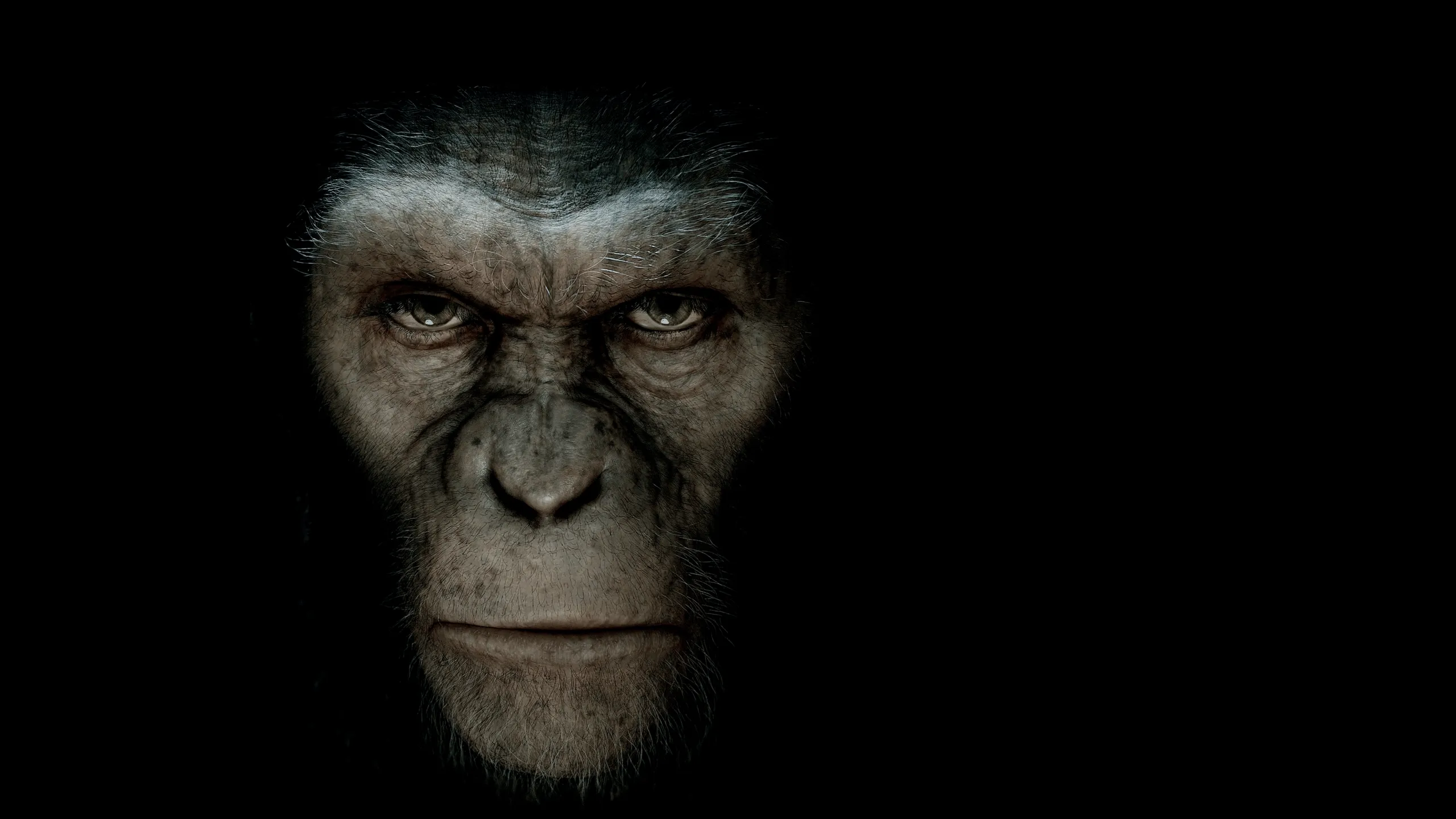 Rise Of The Planet Of The Apes