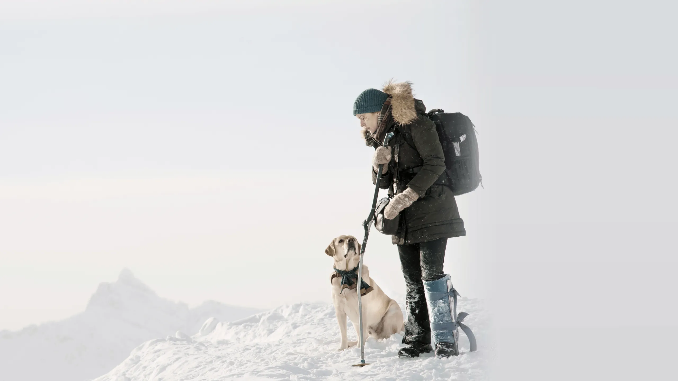 The Mountain Between Us