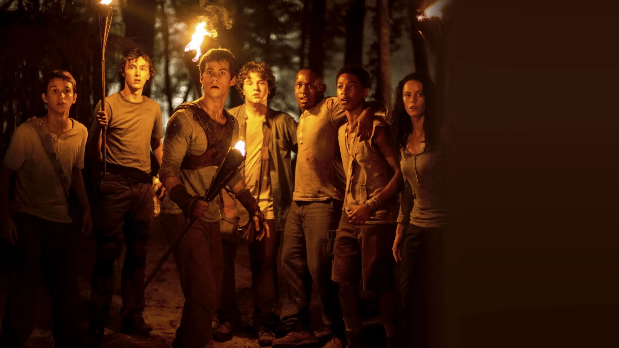 The Maze Runner