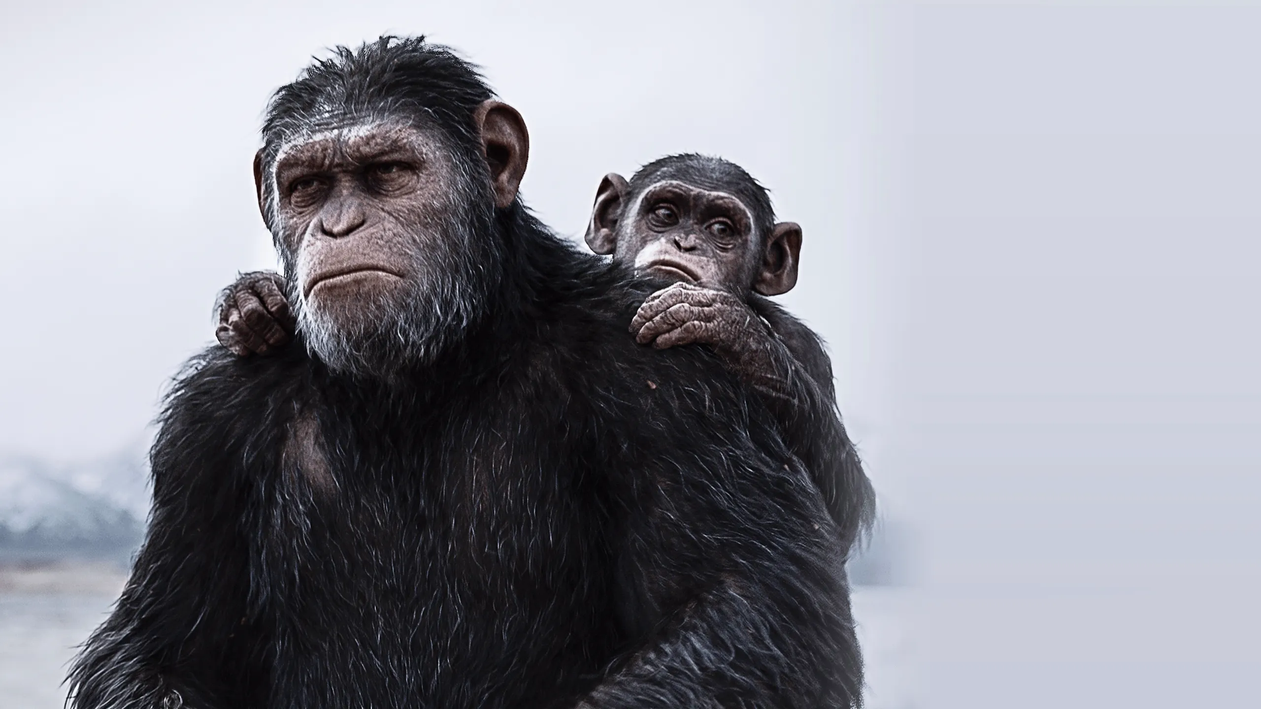 War for the Planet of the Apes