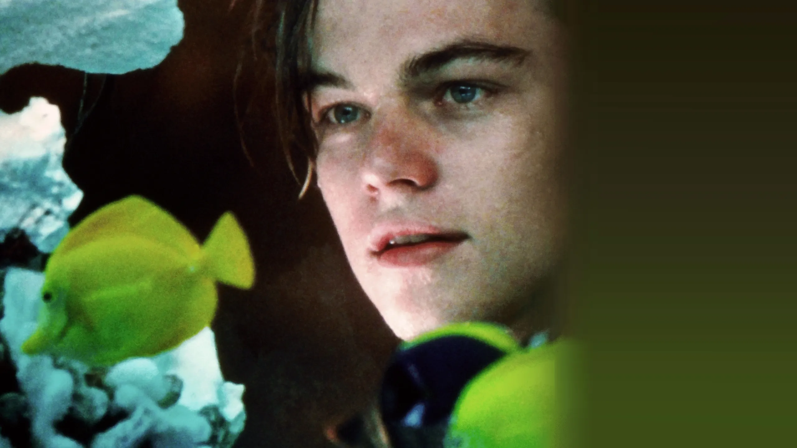 William Shakespeare's Romeo + Juliet