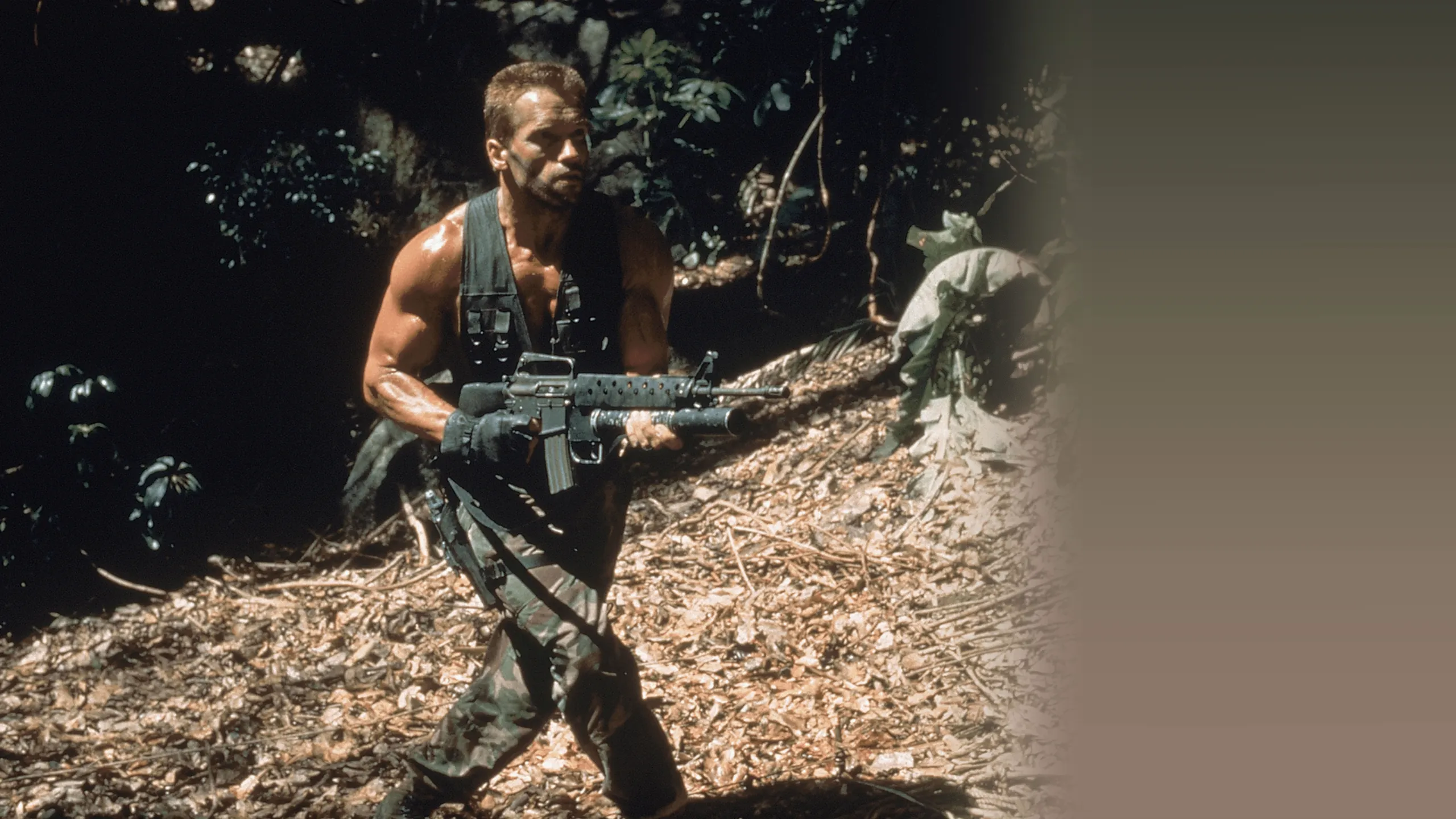 Predator
