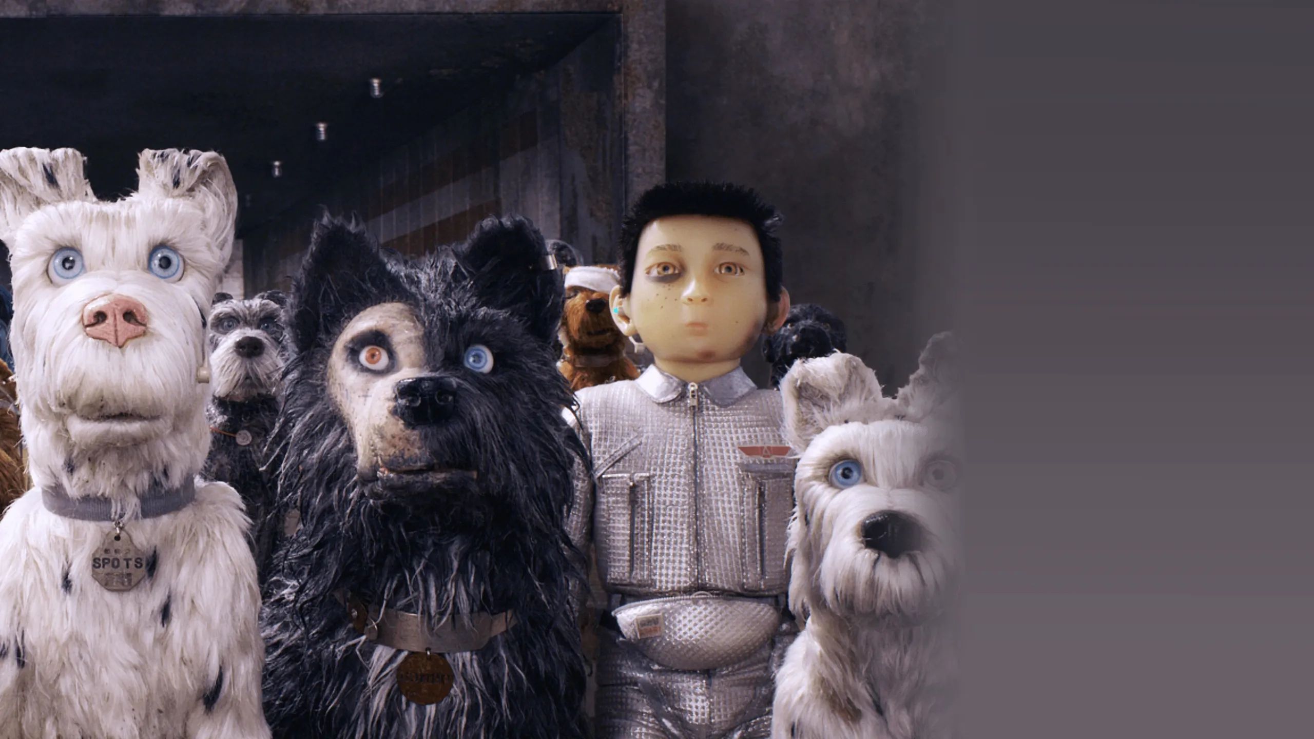 Isle of Dogs