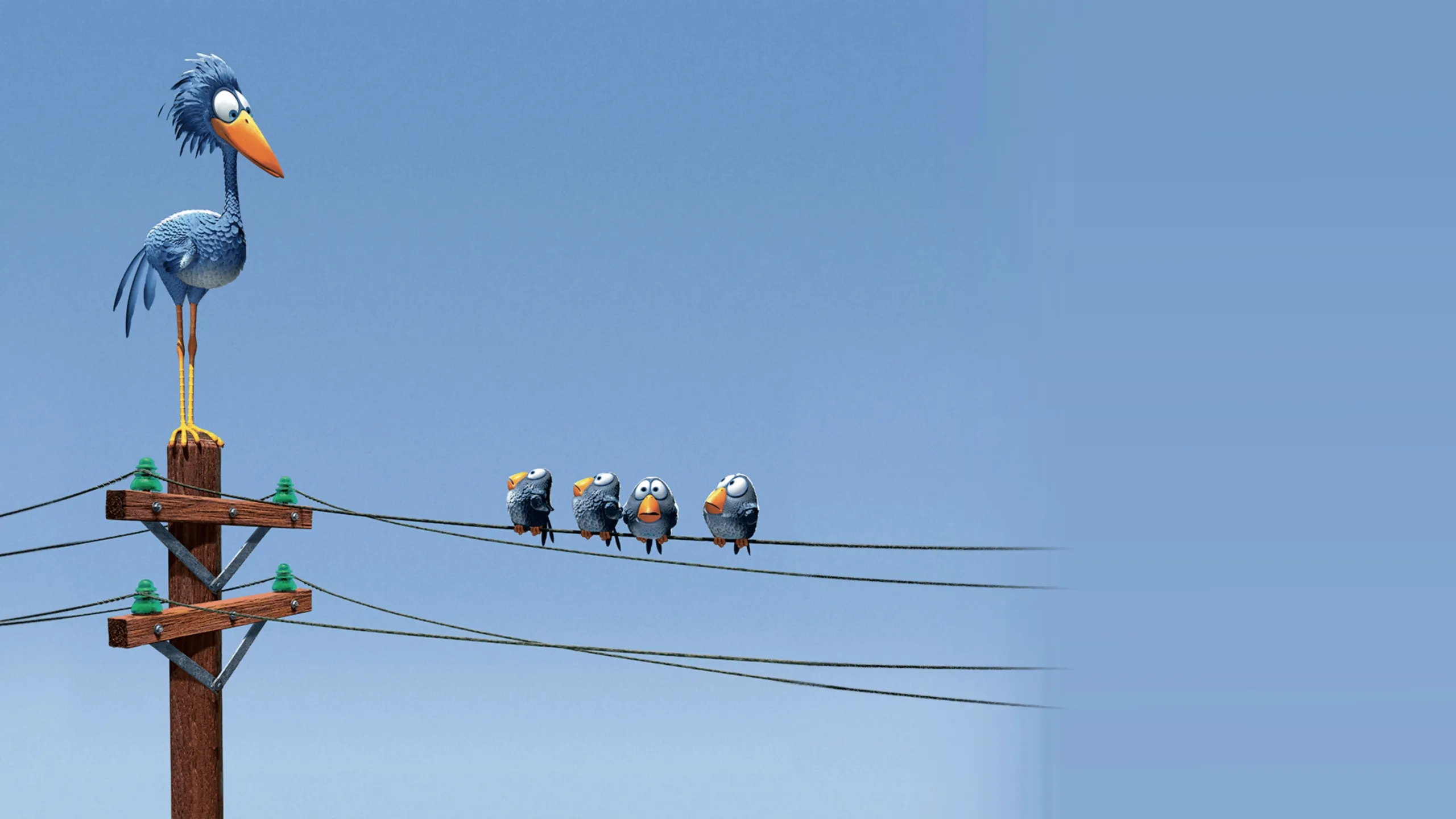 For the Birds