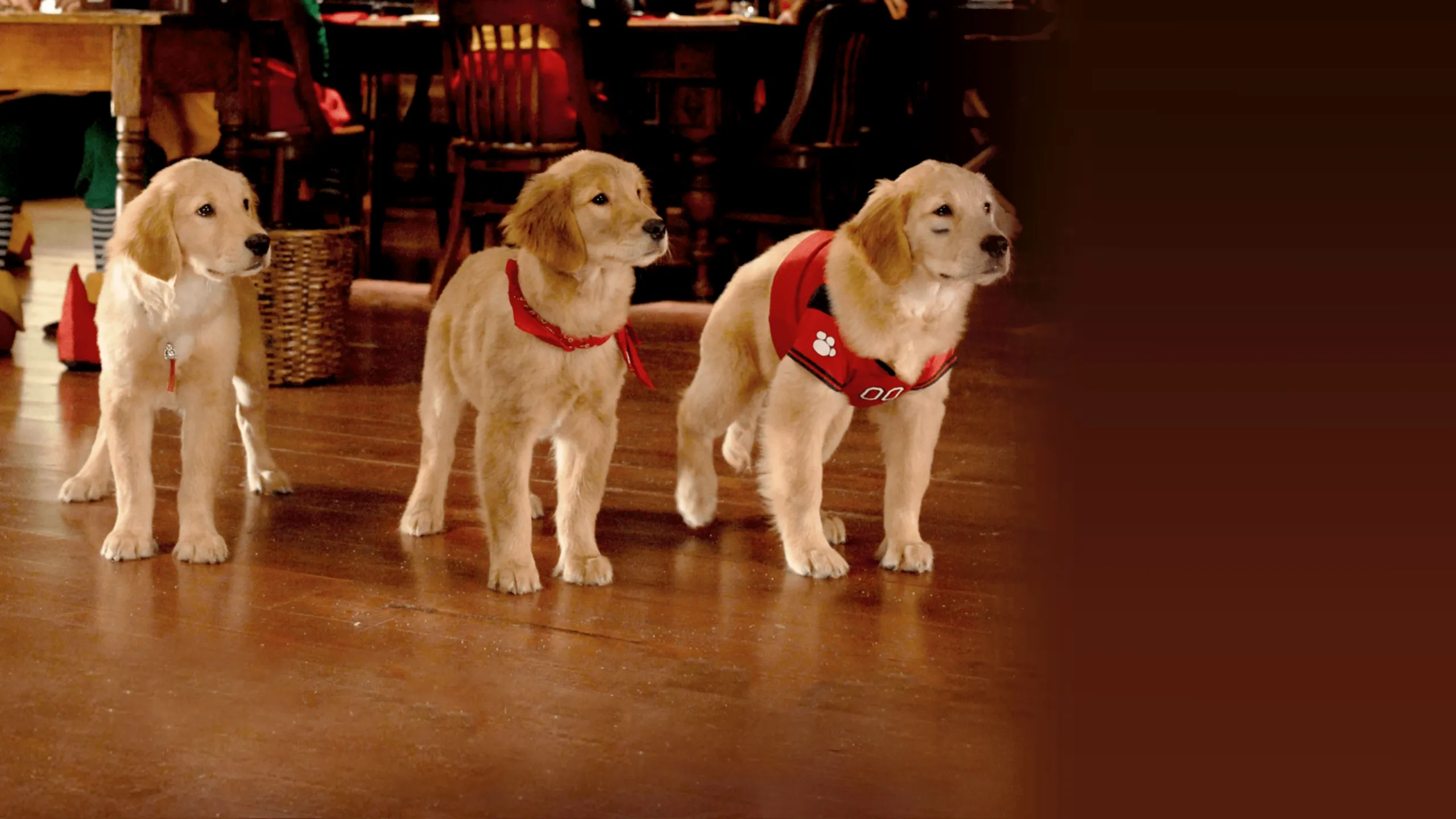 Santa Buddies: The Legend of Santa Paws