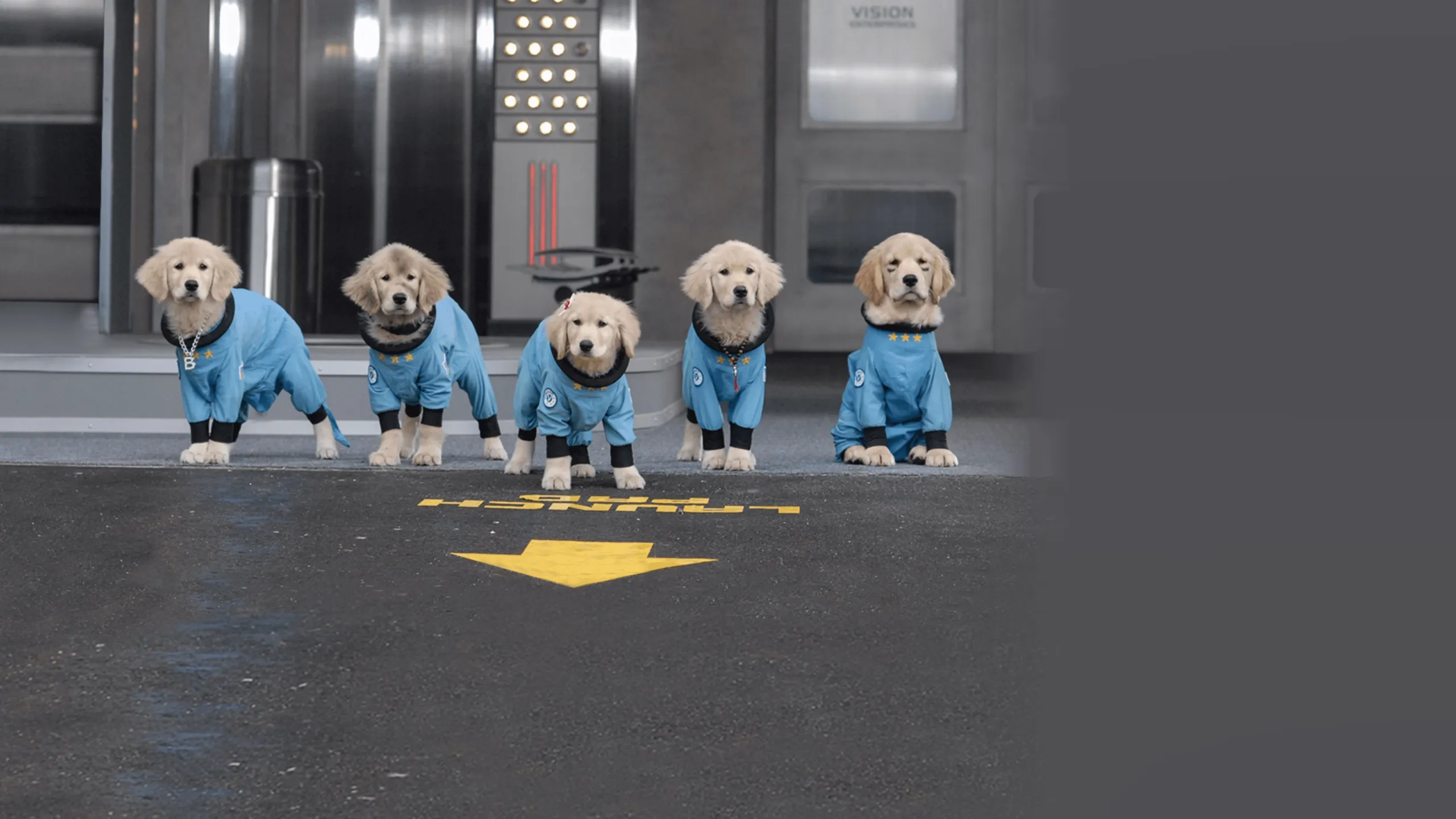 Space Buddies