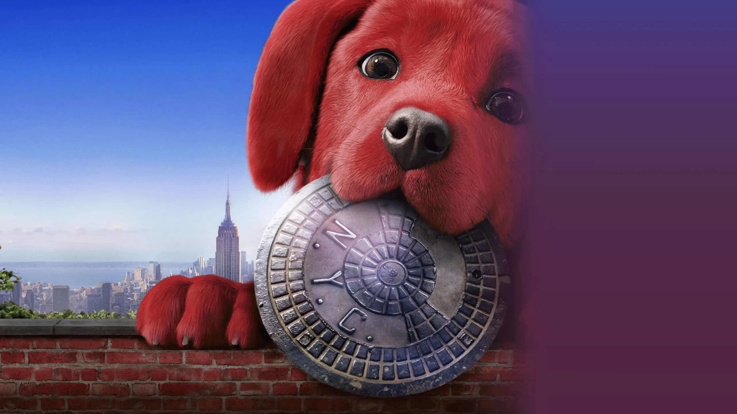 Clifford The Big Red Dog