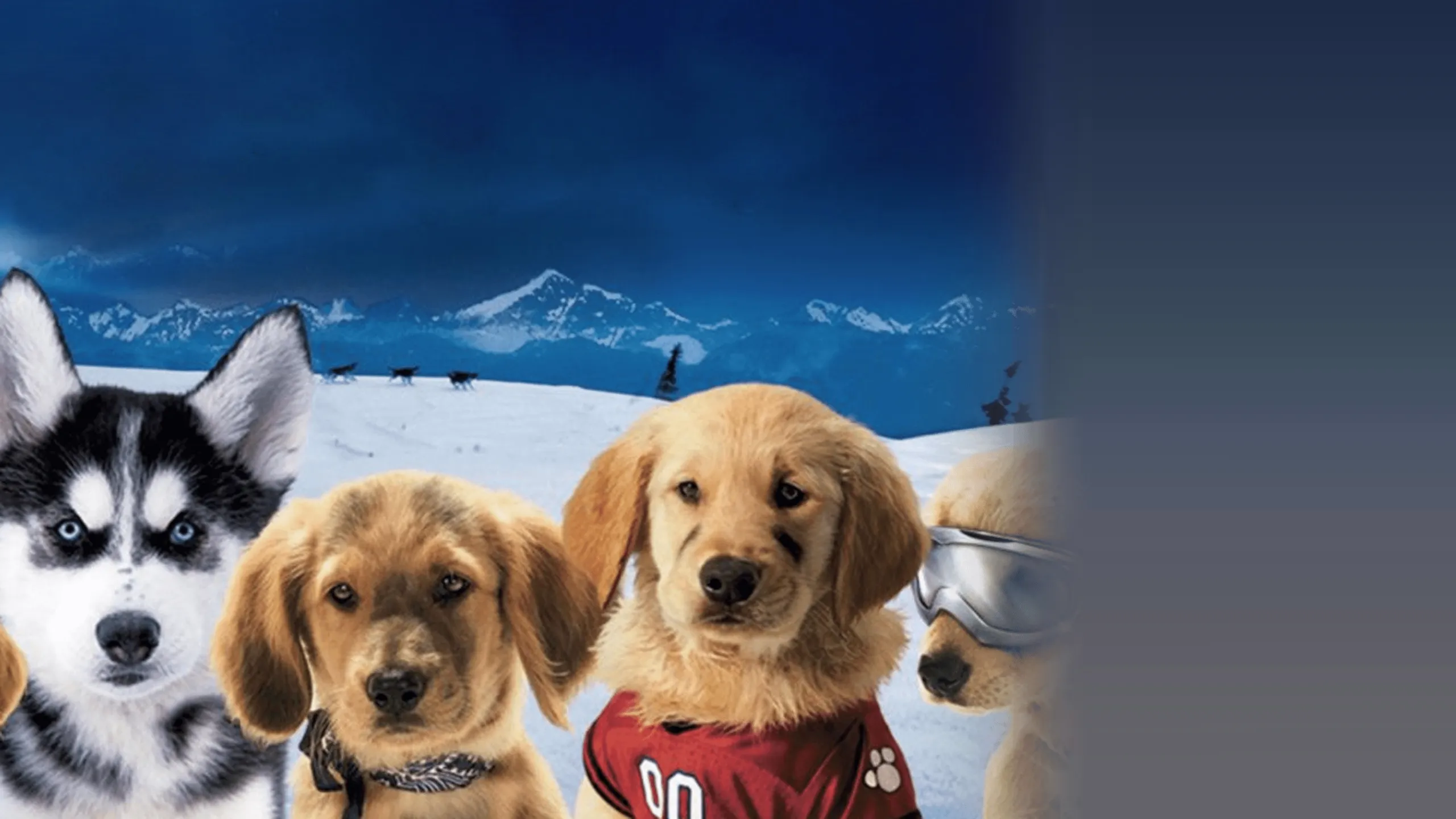 Snow Buddies
