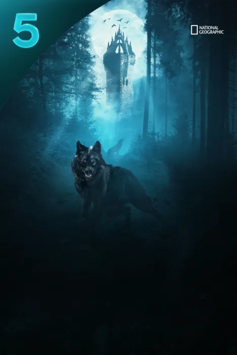 Monsters: The Truth Behind the Myths