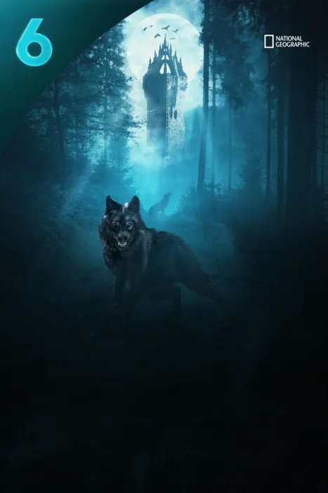 Monsters: The Truth Behind the Myths