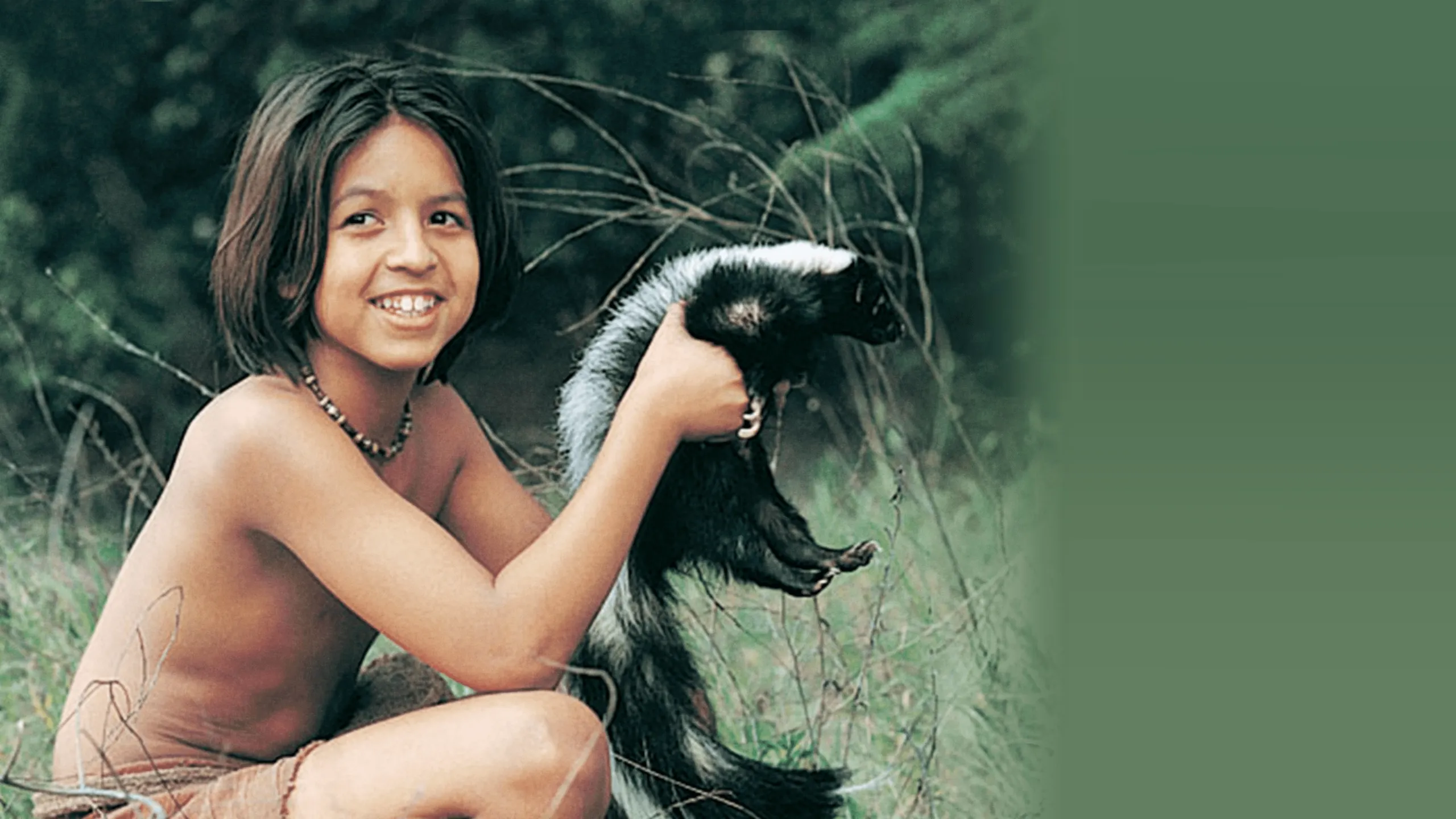 The Jungle Book: Mowgli's Story