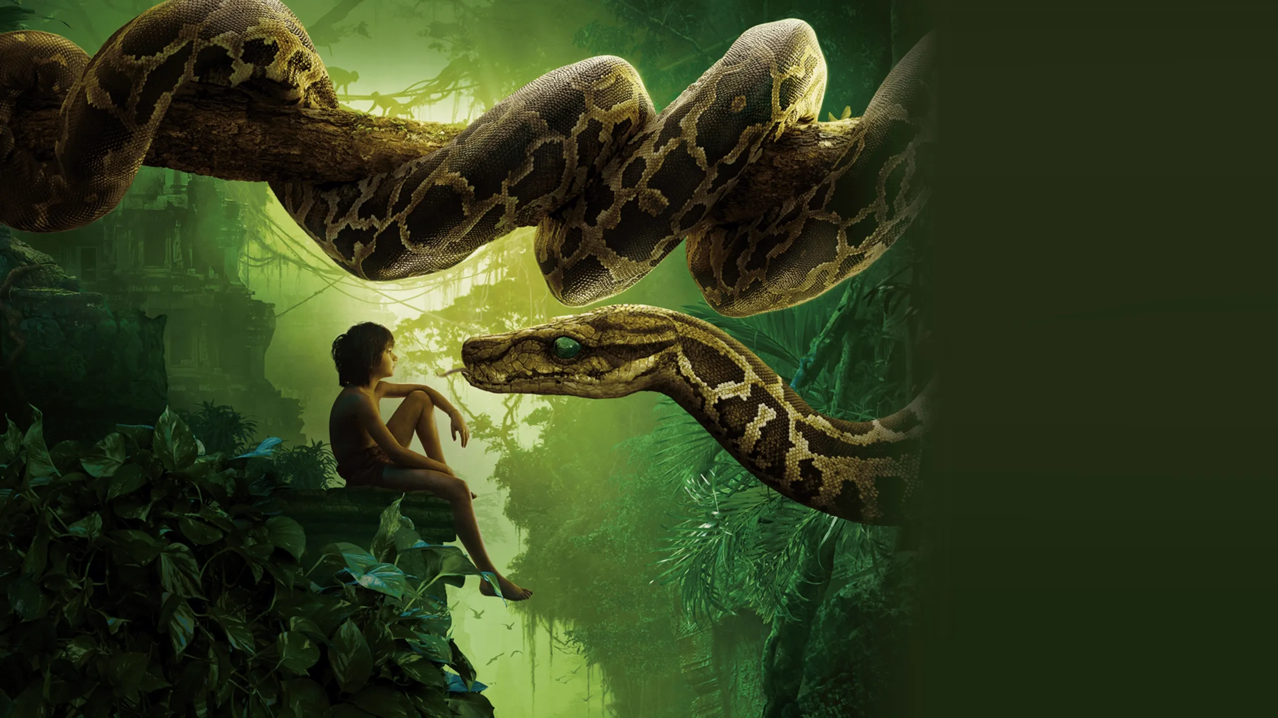 The Jungle Book