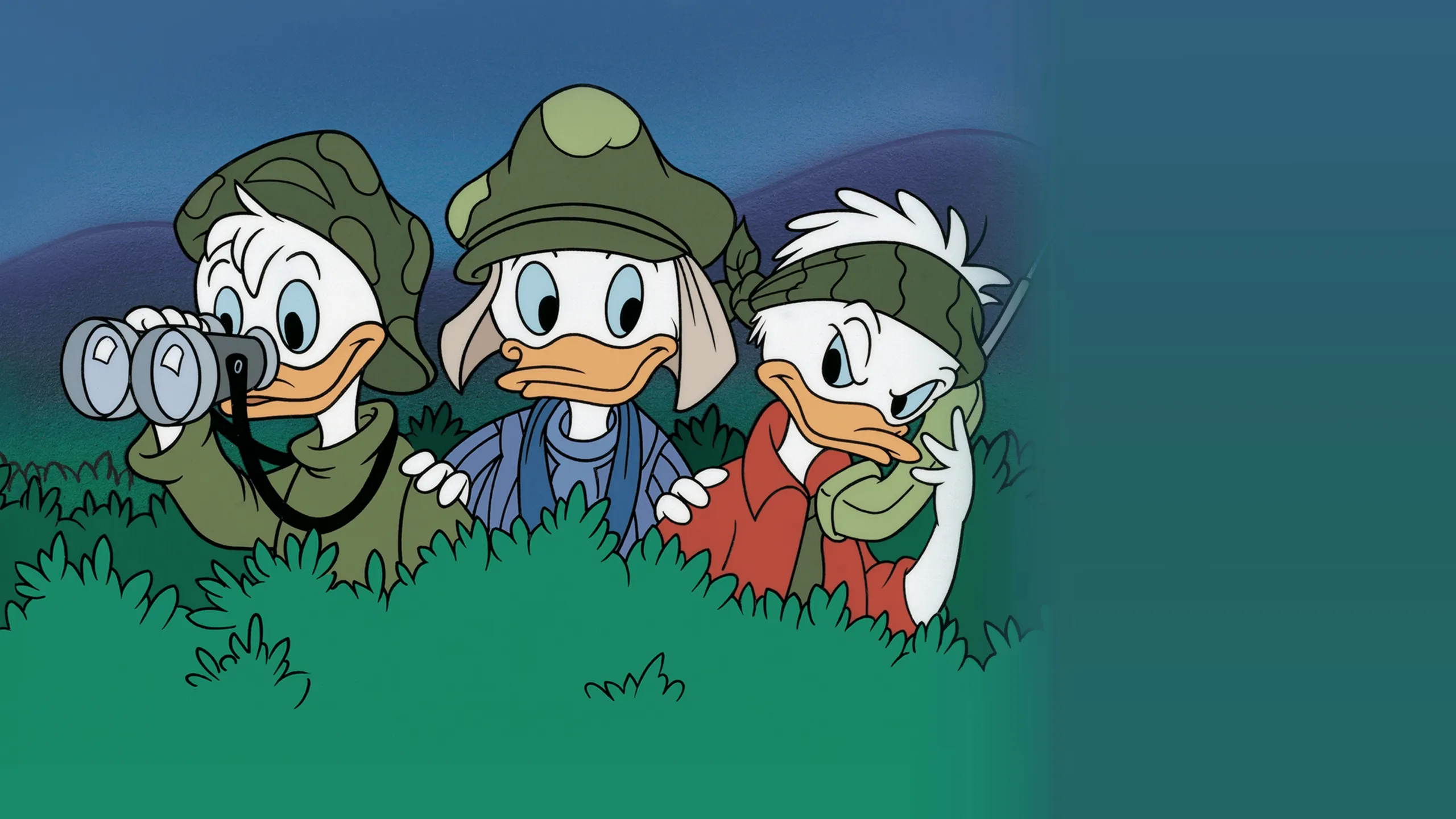 Quack Pack