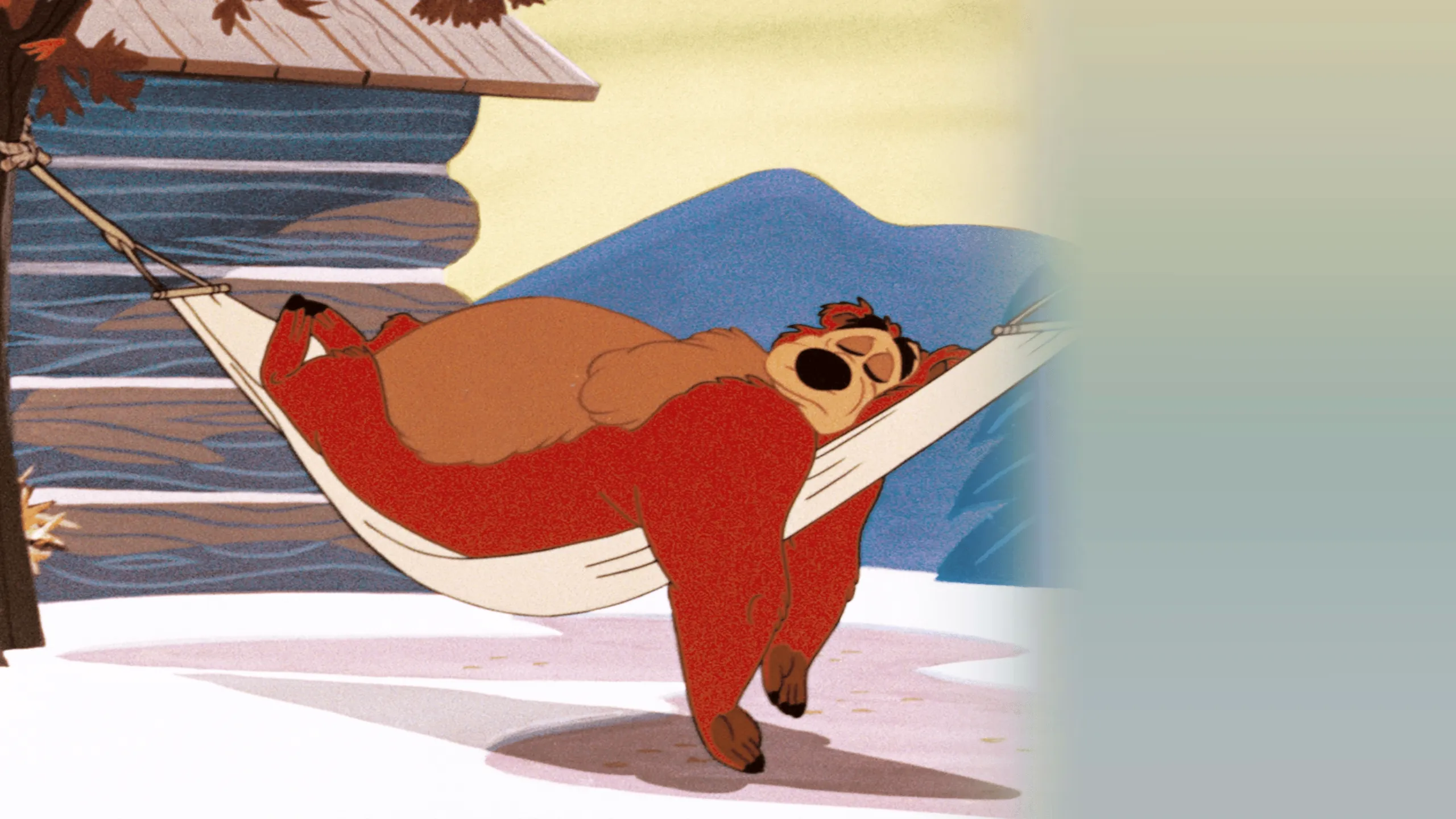 Bearly Asleep