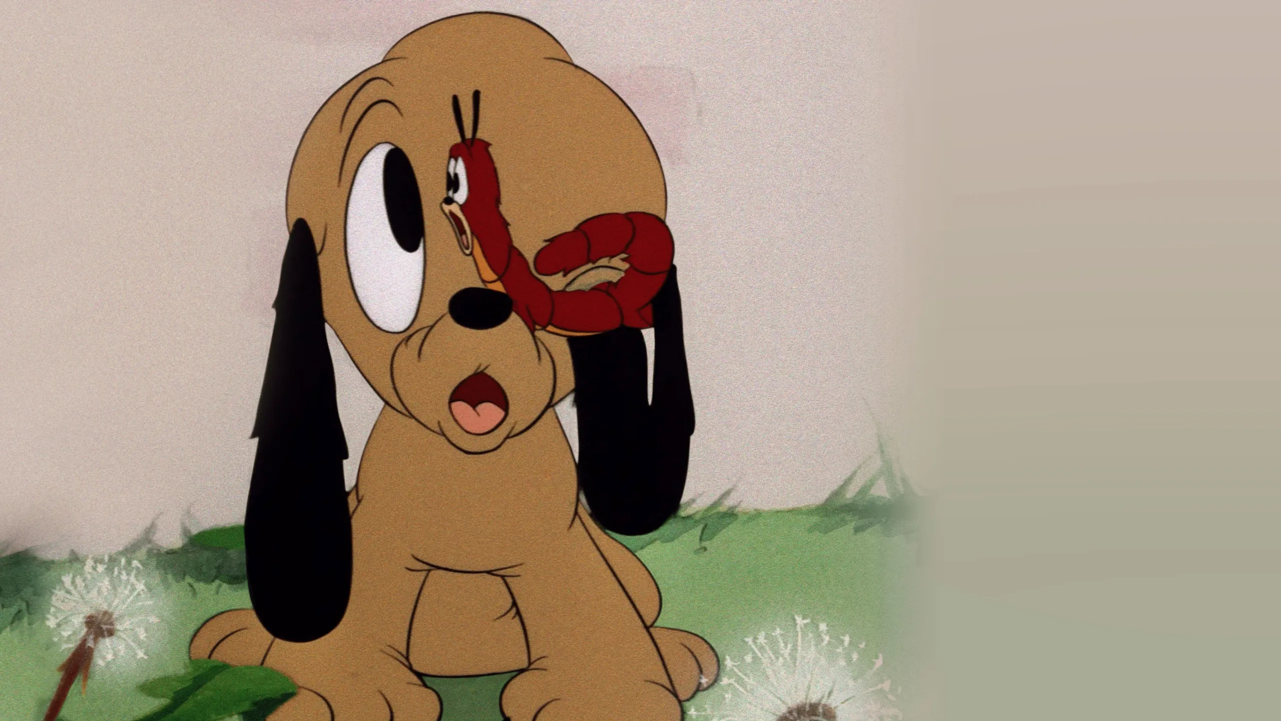 Pluto, Junior