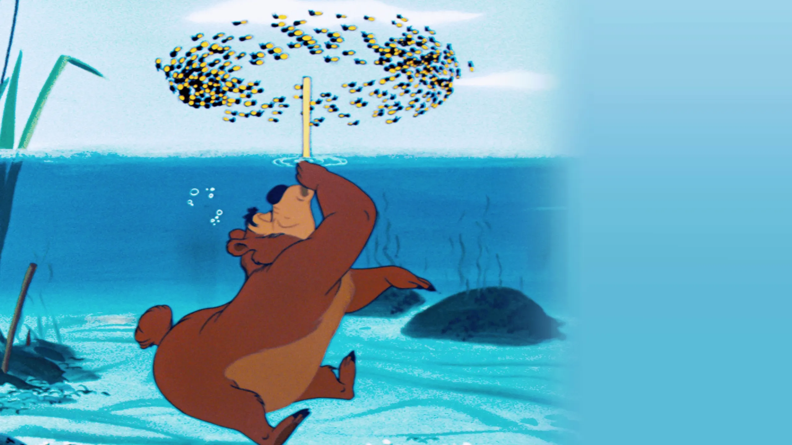 Beezy Bear