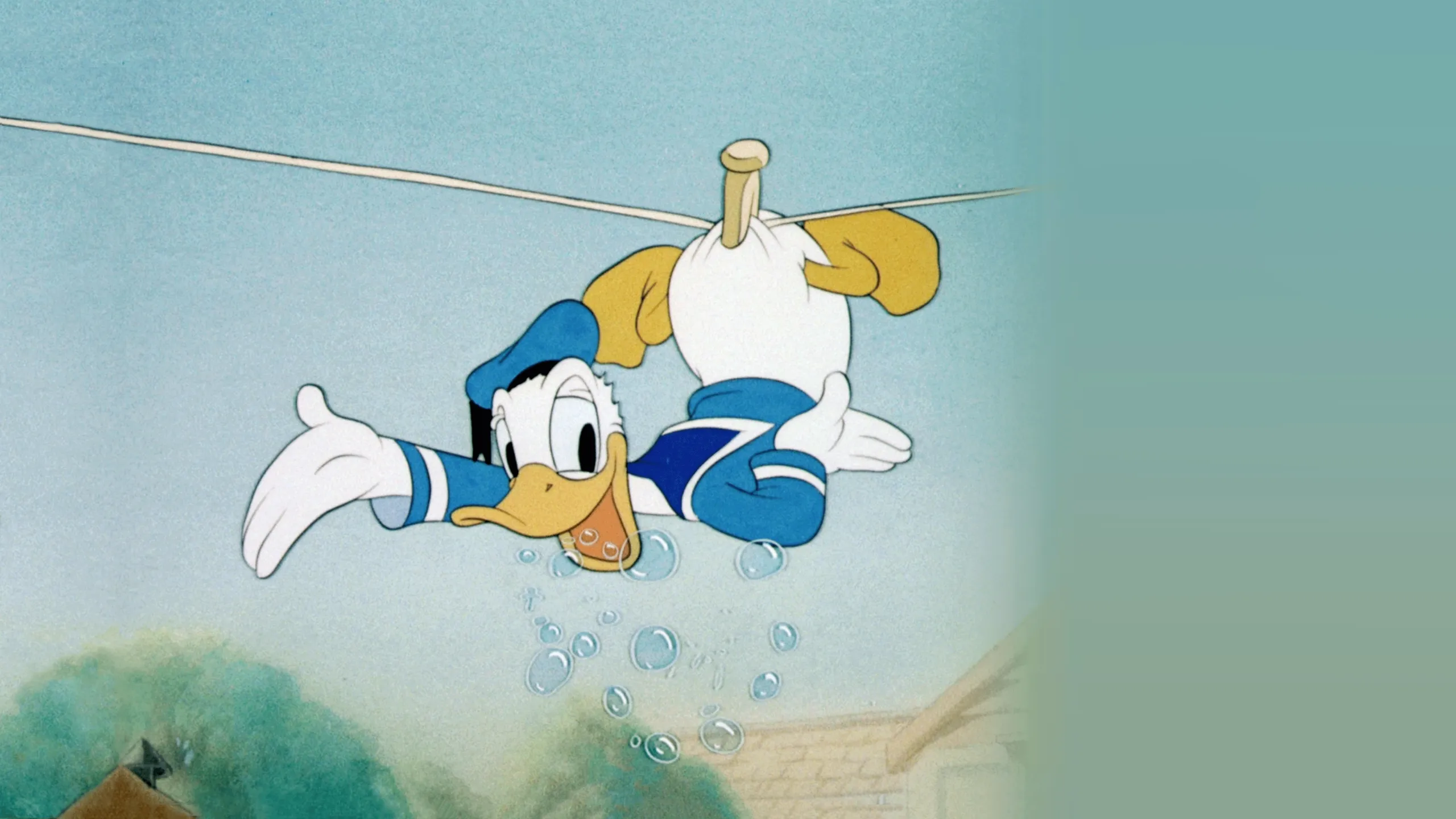 Donald's Dog Laundry