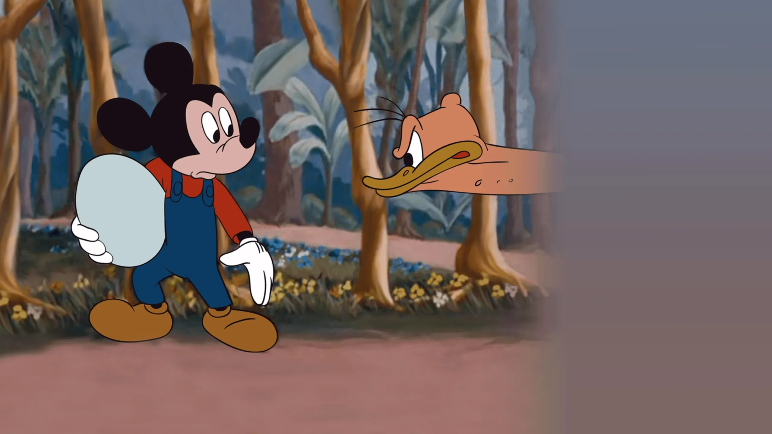 Mickey Down Under