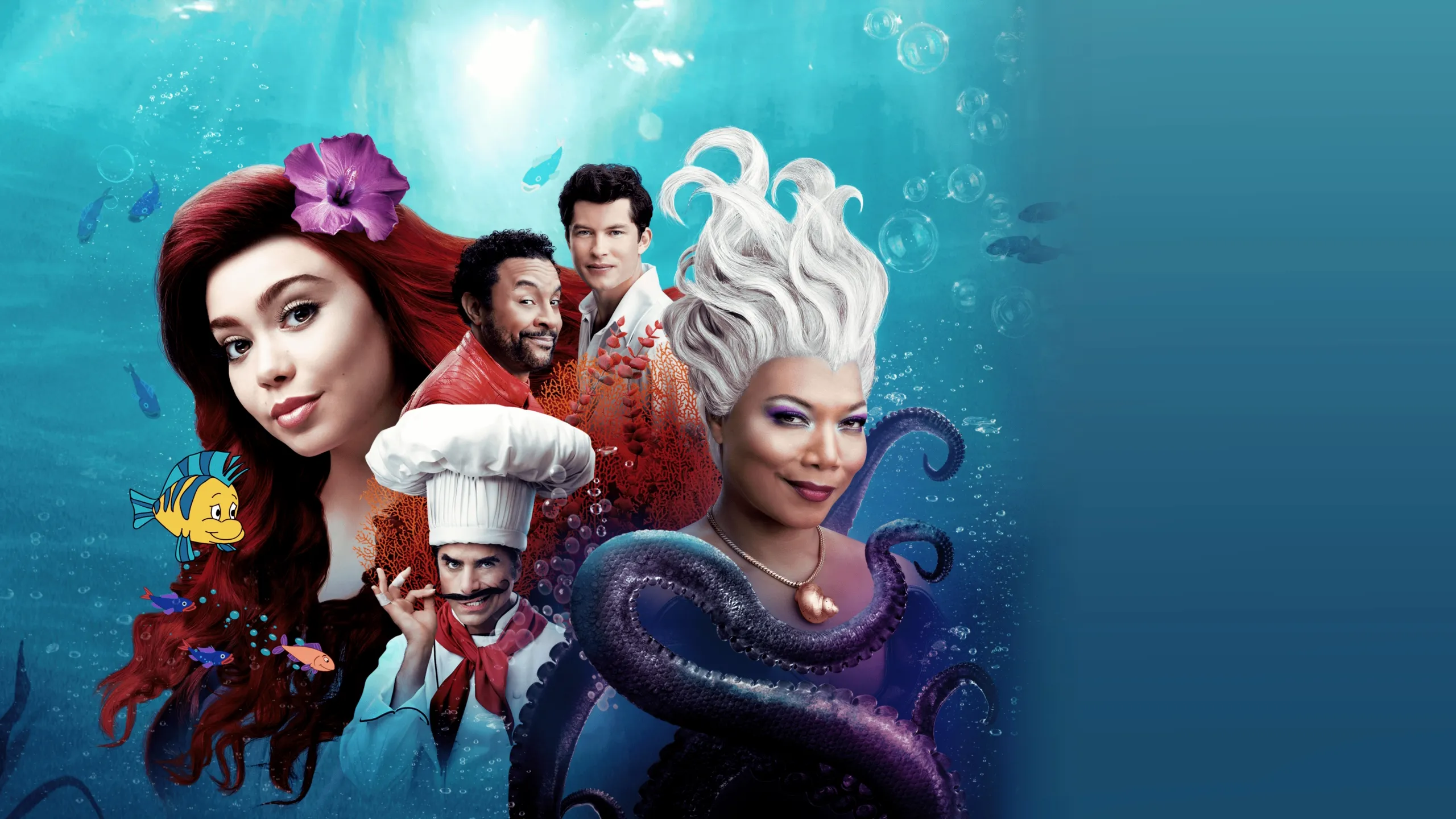!The Wonderful World of Disney Presents The Little Mermaid Live