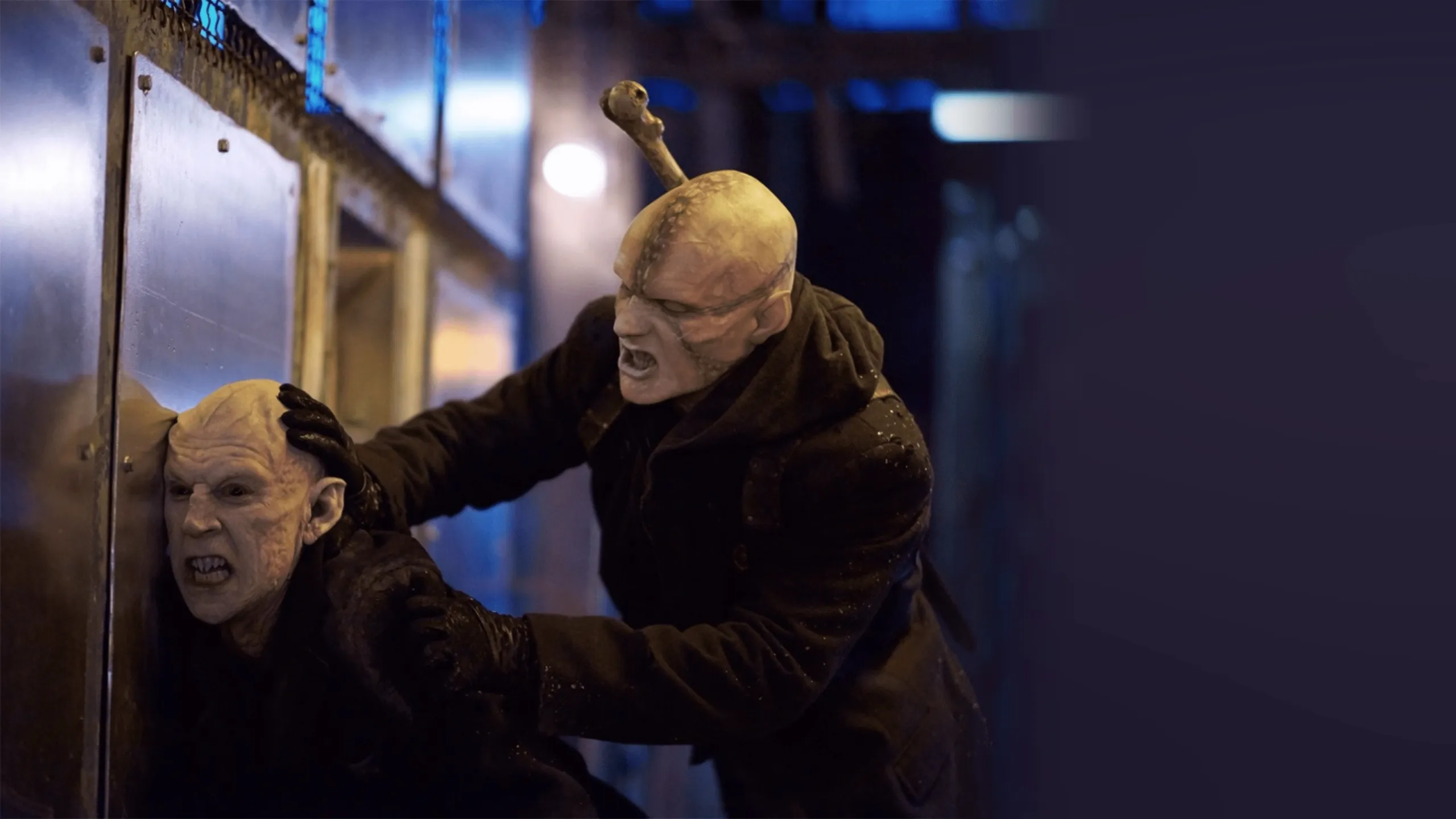 The Strain