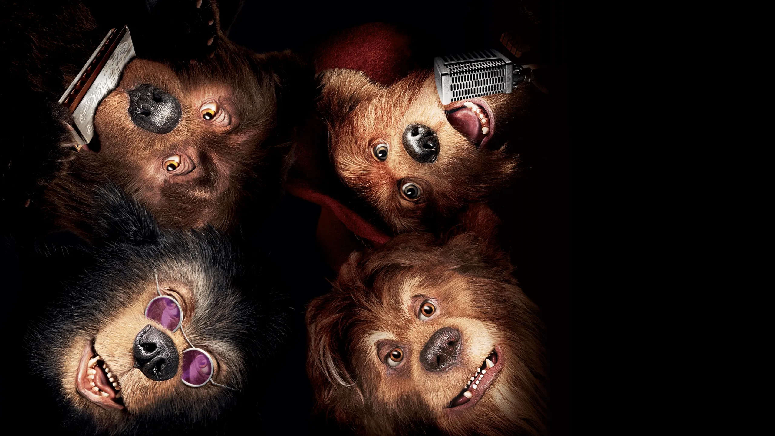 The Country Bears