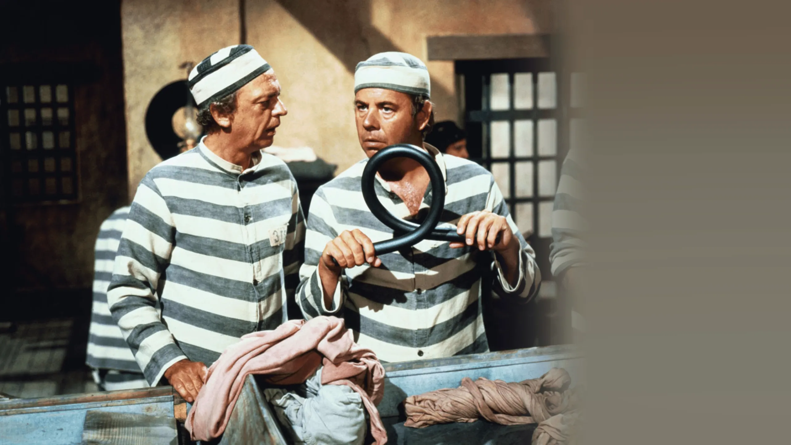The Apple Dumpling Gang Rides Again