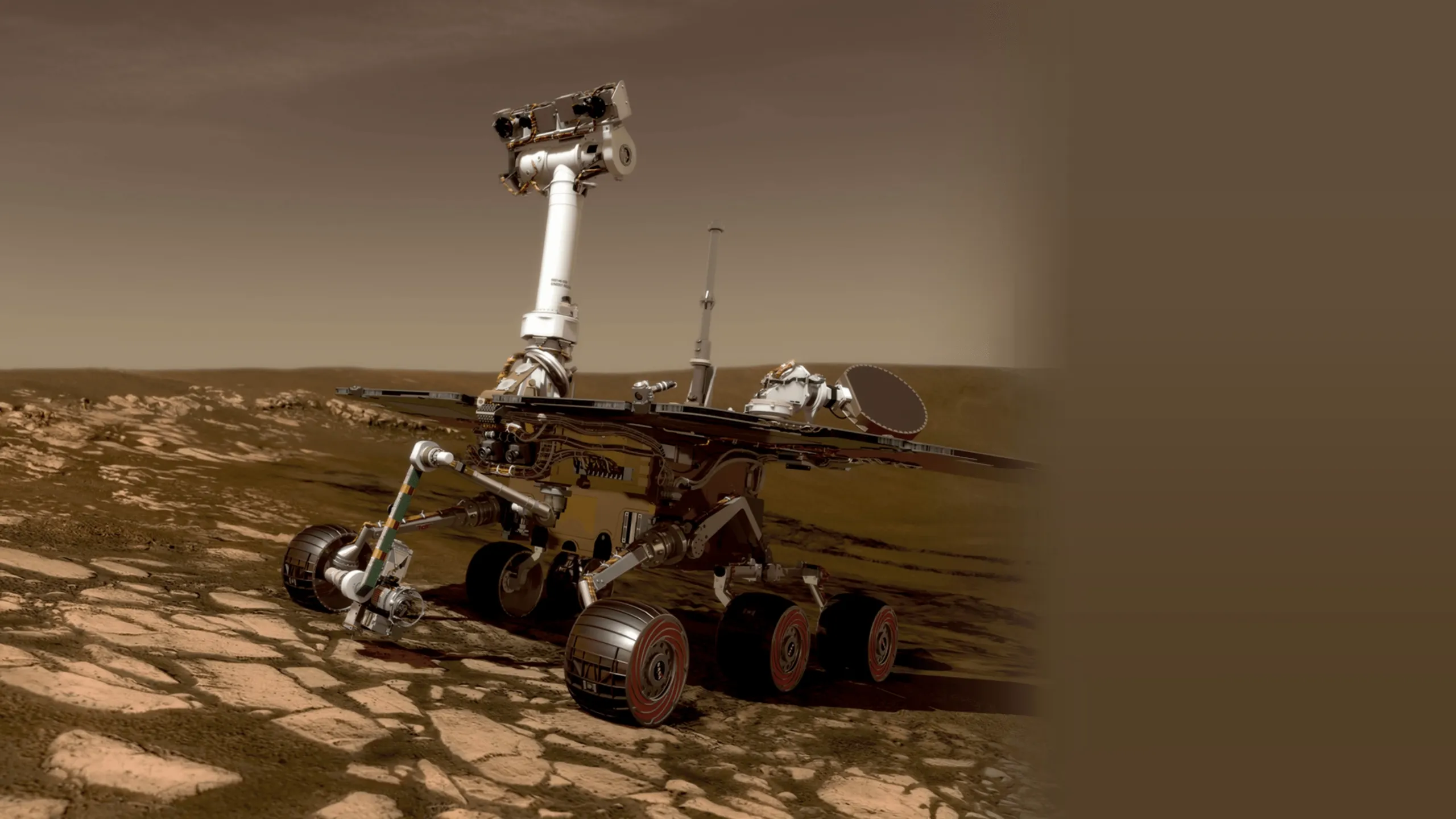 Roving Mars