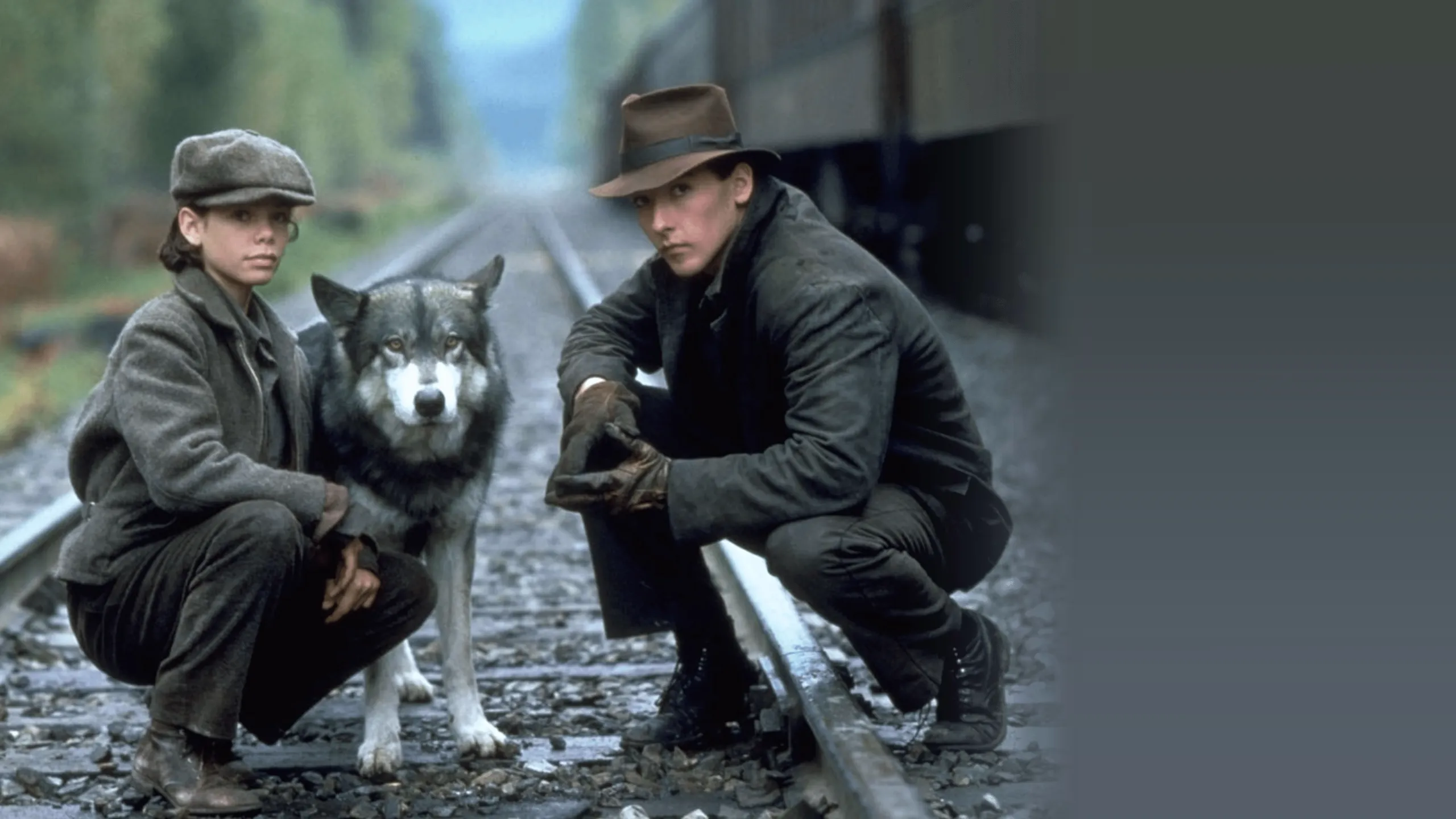 The Journey of Natty Gann