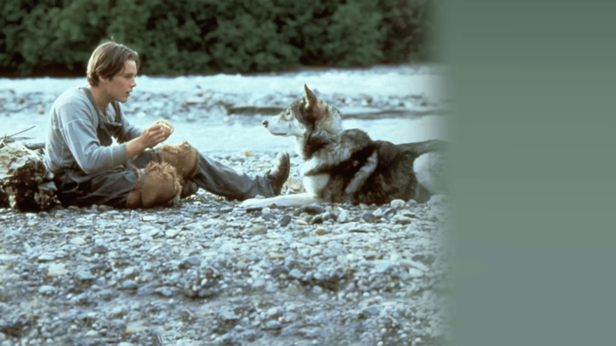 White Fang