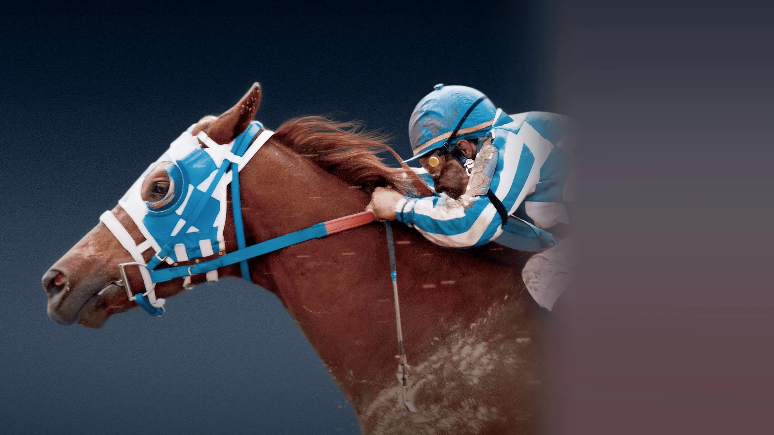 Secretariat