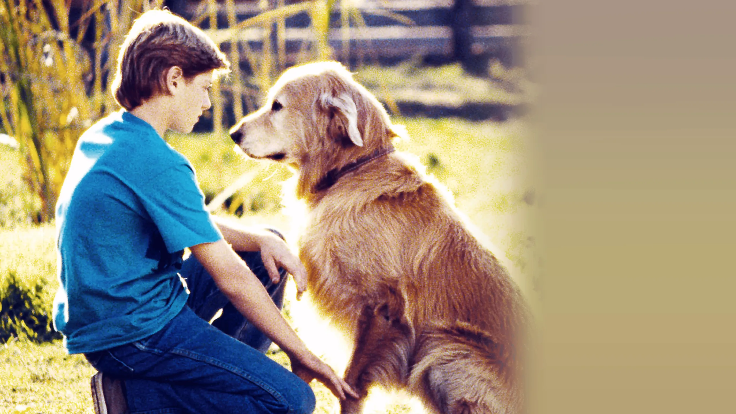 Homeward Bound: The Incredible Journey