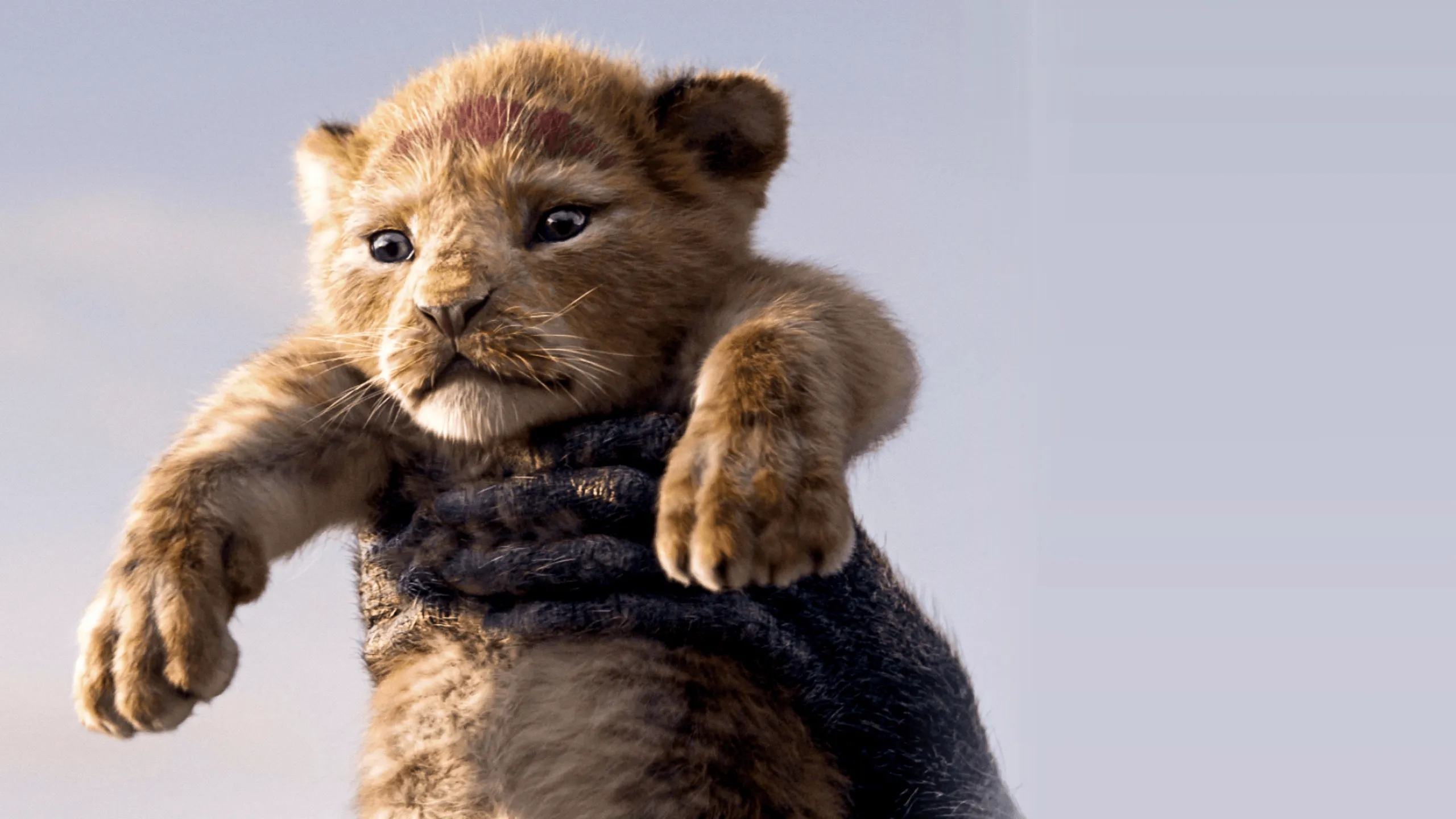 The Lion King المرافقة في الغناء