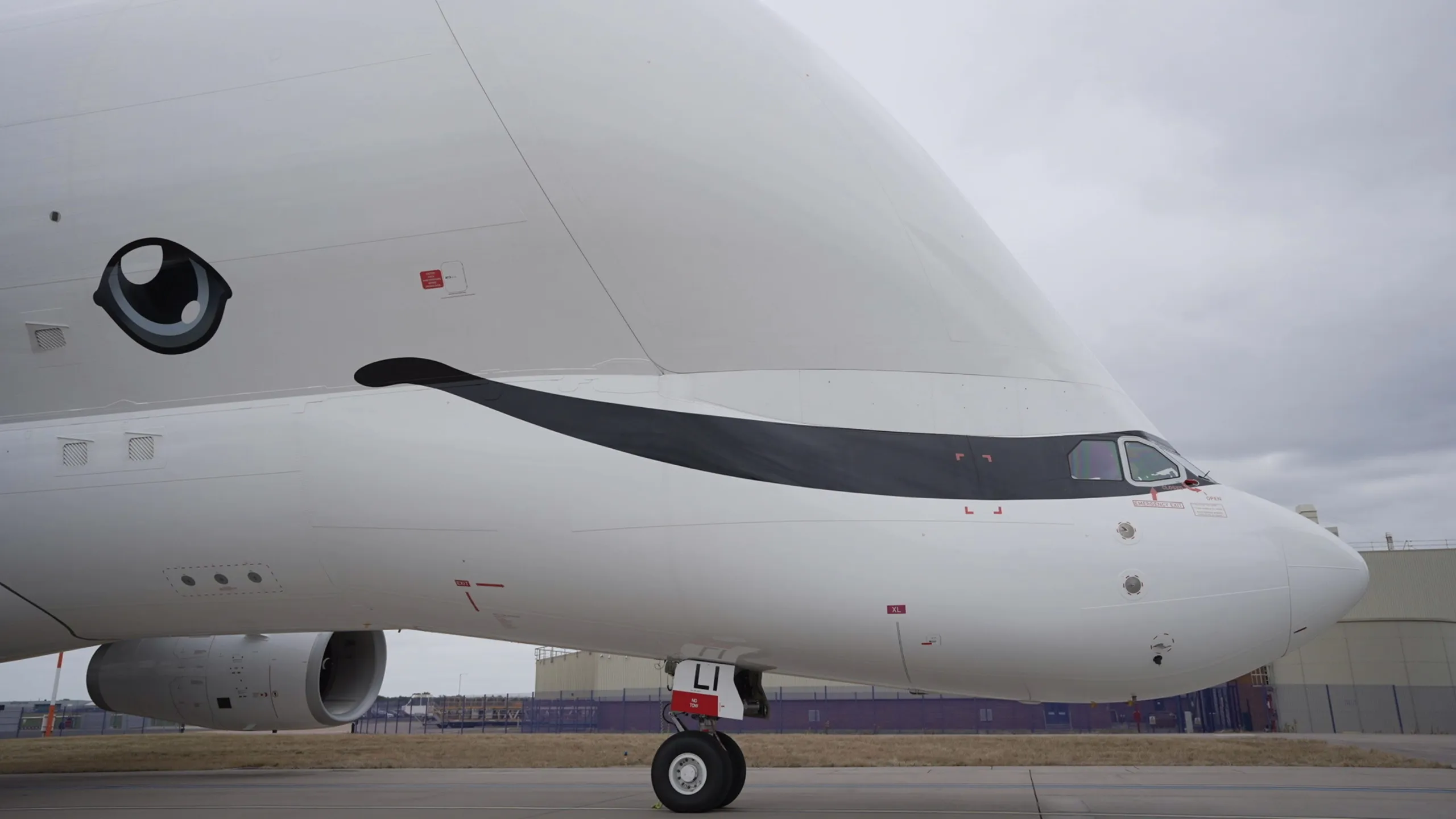 thumbnail - S1:E8 Beluga