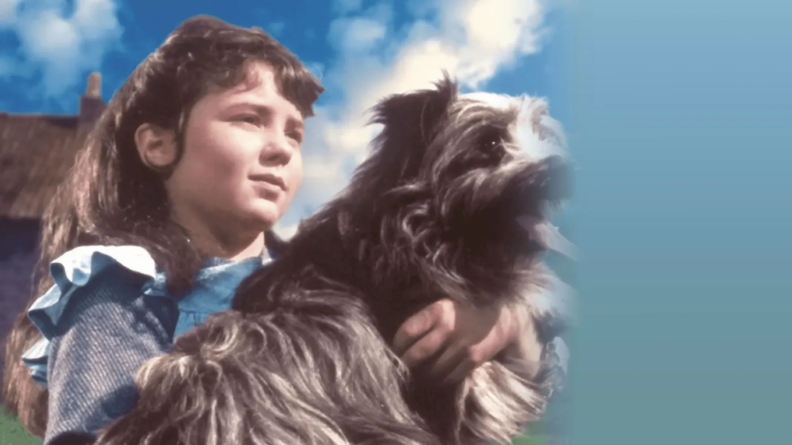 Greyfriars Bobby