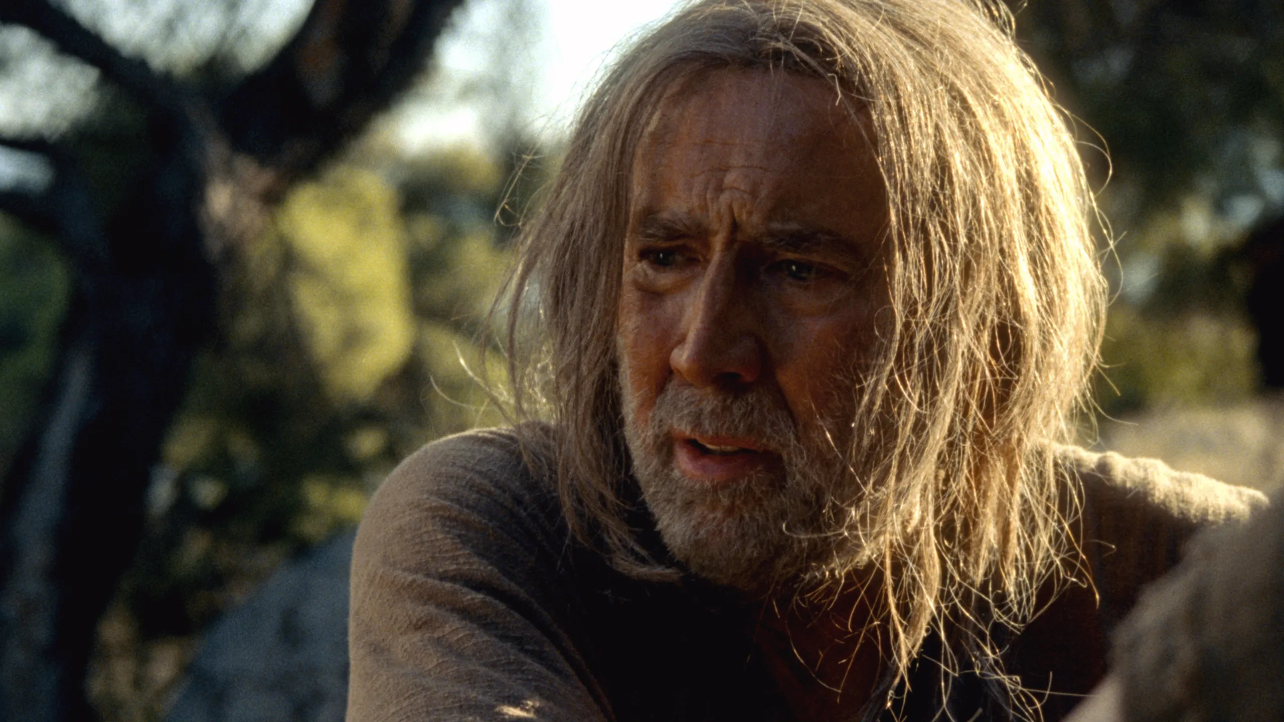 The Carpenter's Son