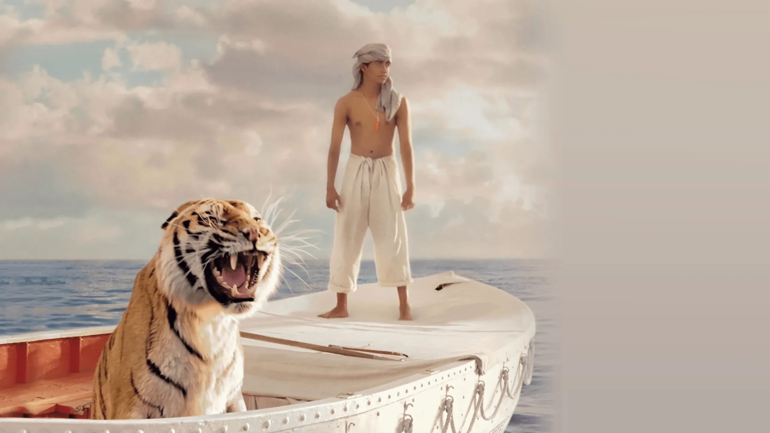 Life Of Pi
