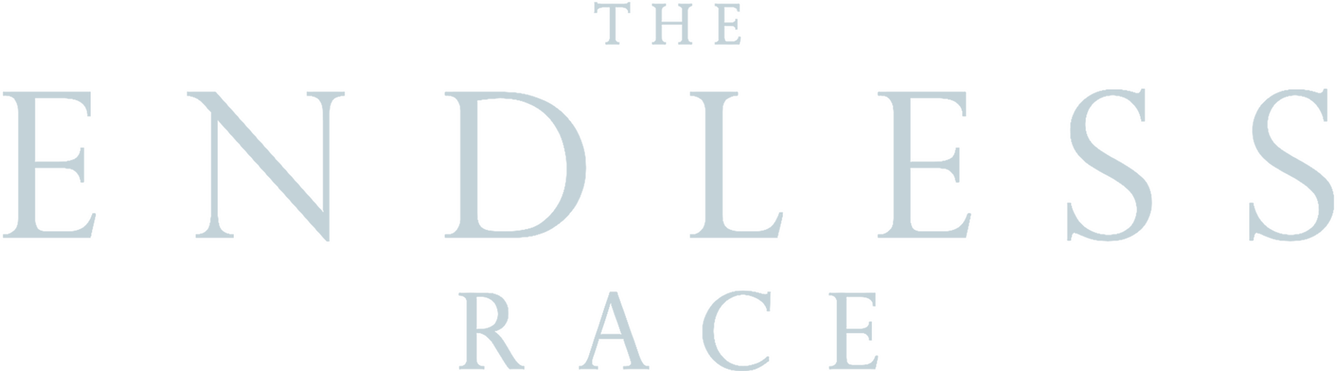 Endless Race