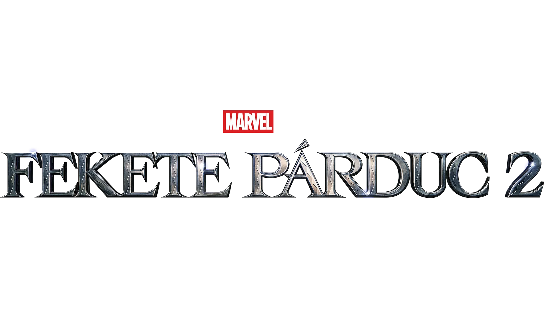 Fekete Párduc 2.
