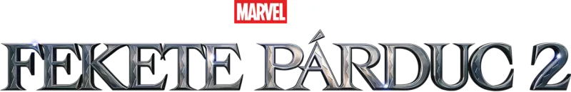 Fekete Párduc 2.