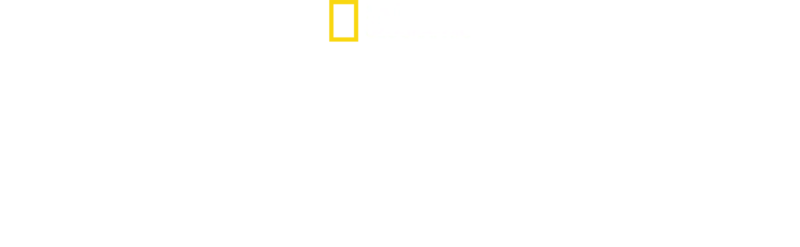 Ascensiune la Pol cu Alex Honnold