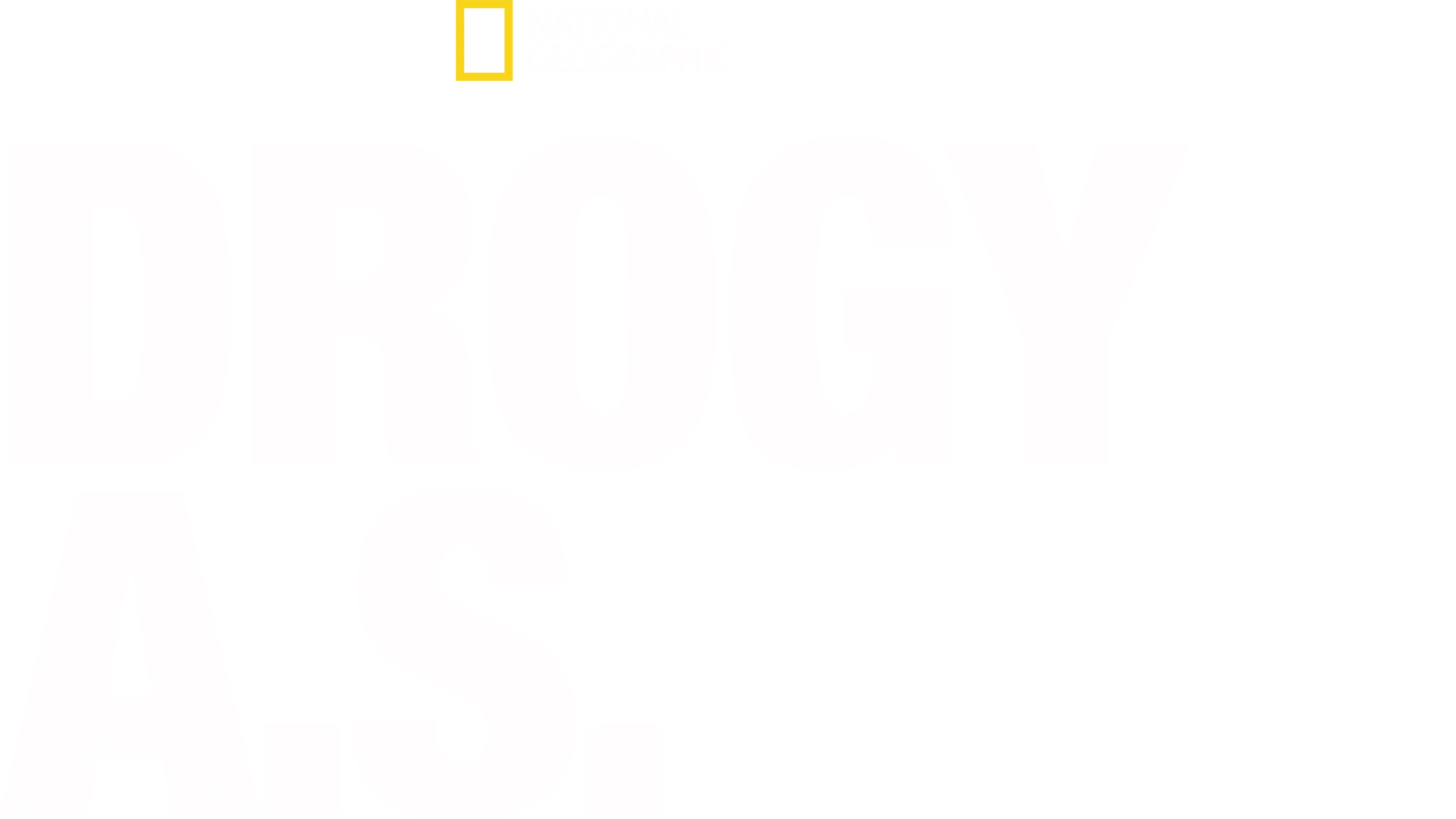 Drogy a.s.