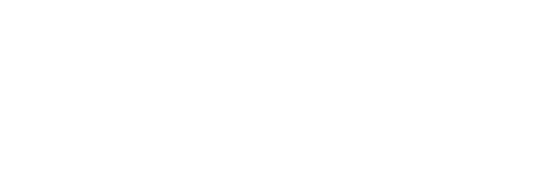 L'interprete del silenzio