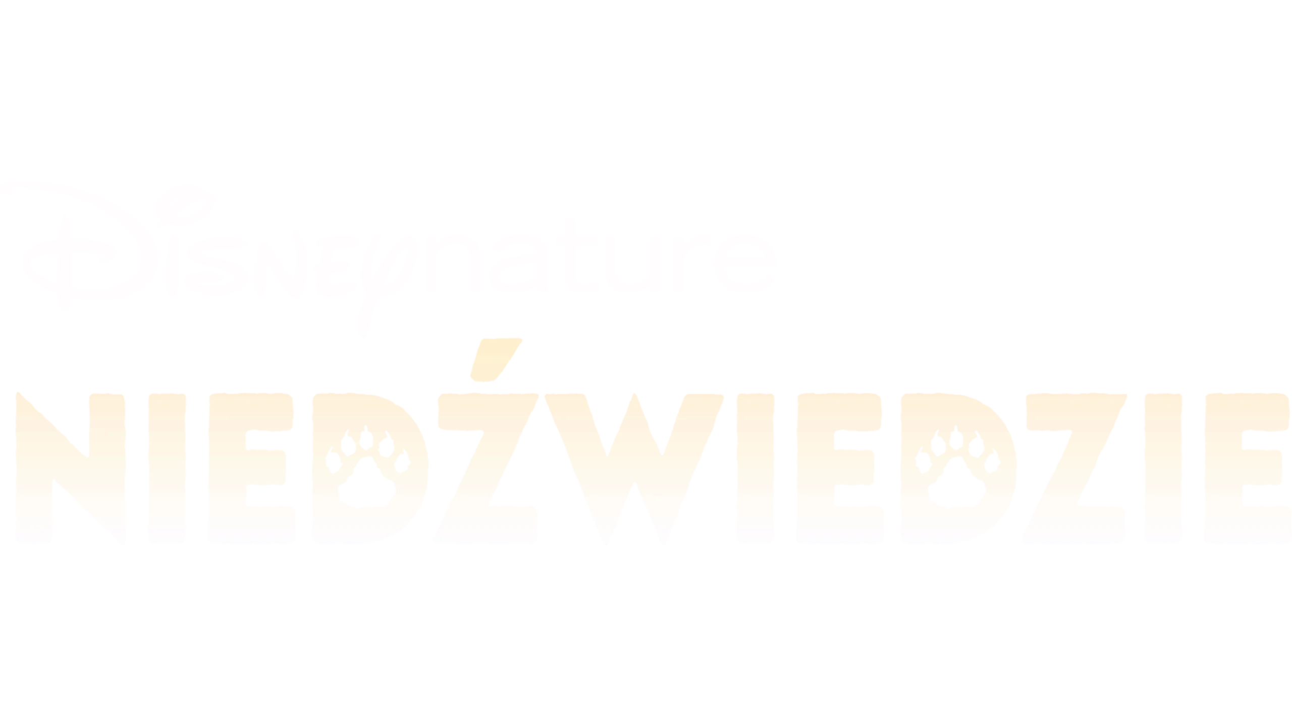 Niedźwiedzie