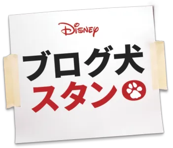 ブログ犬　スタン